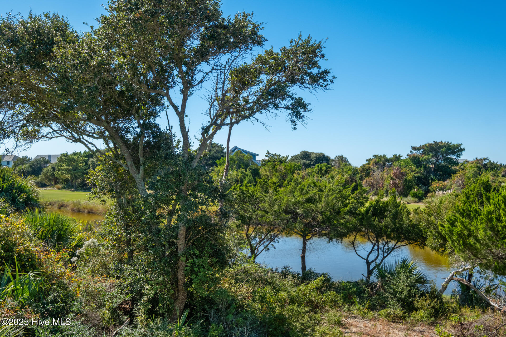 100540295 | Photo 48