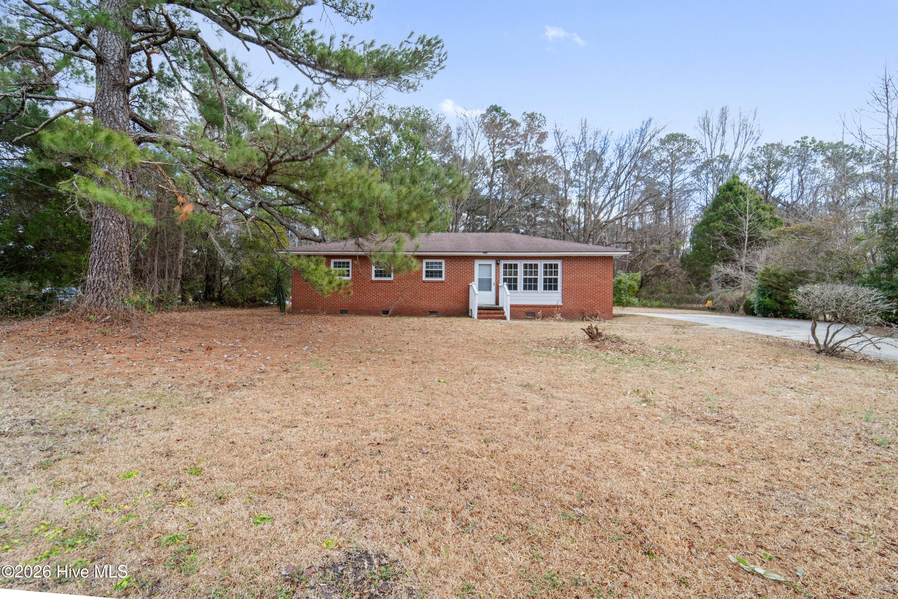 100557245 | Photo 32