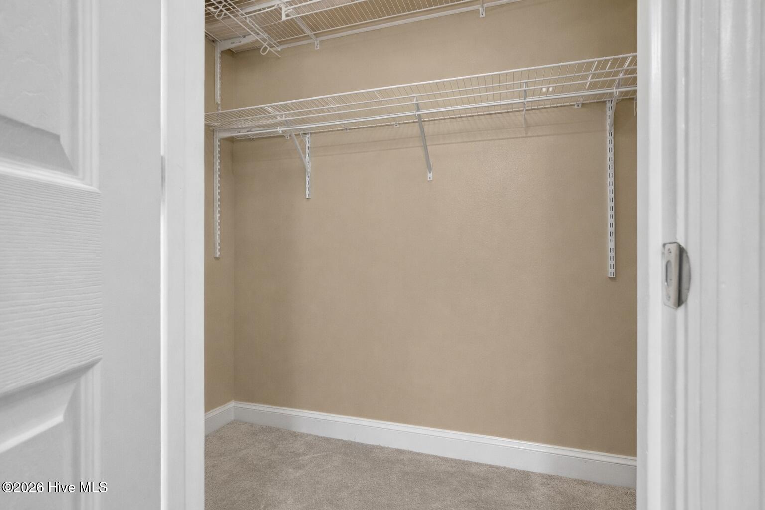 100566573 | Photo 47