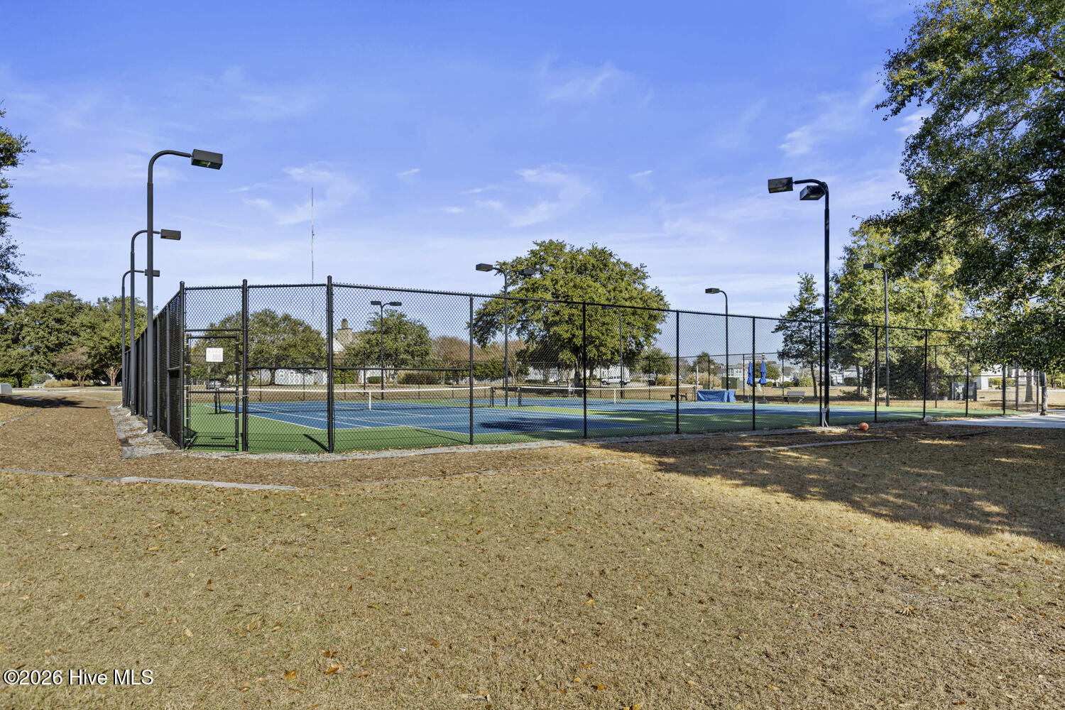 100557738 | Photo 61