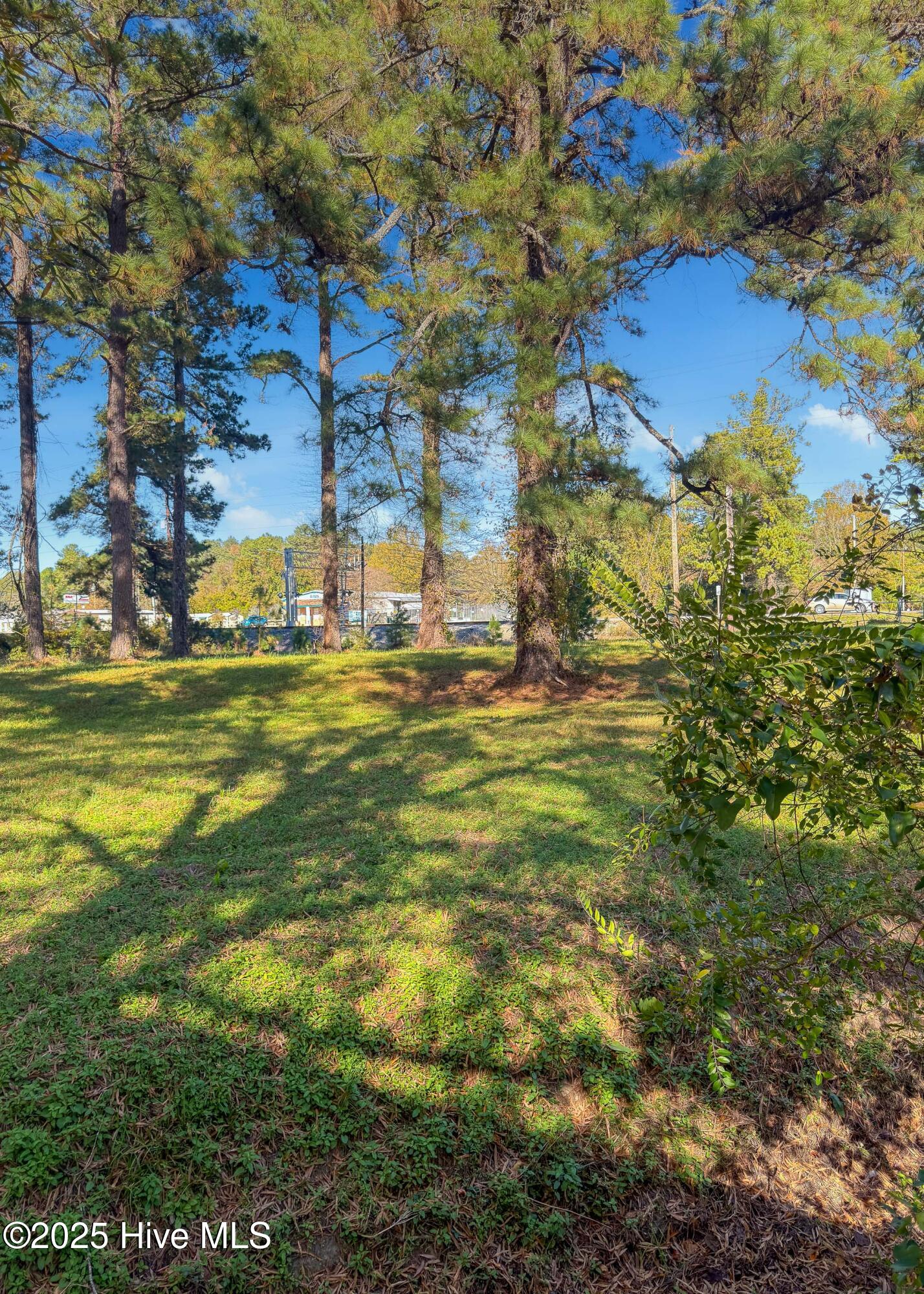 3101 Neuse Boulevard,New Bern