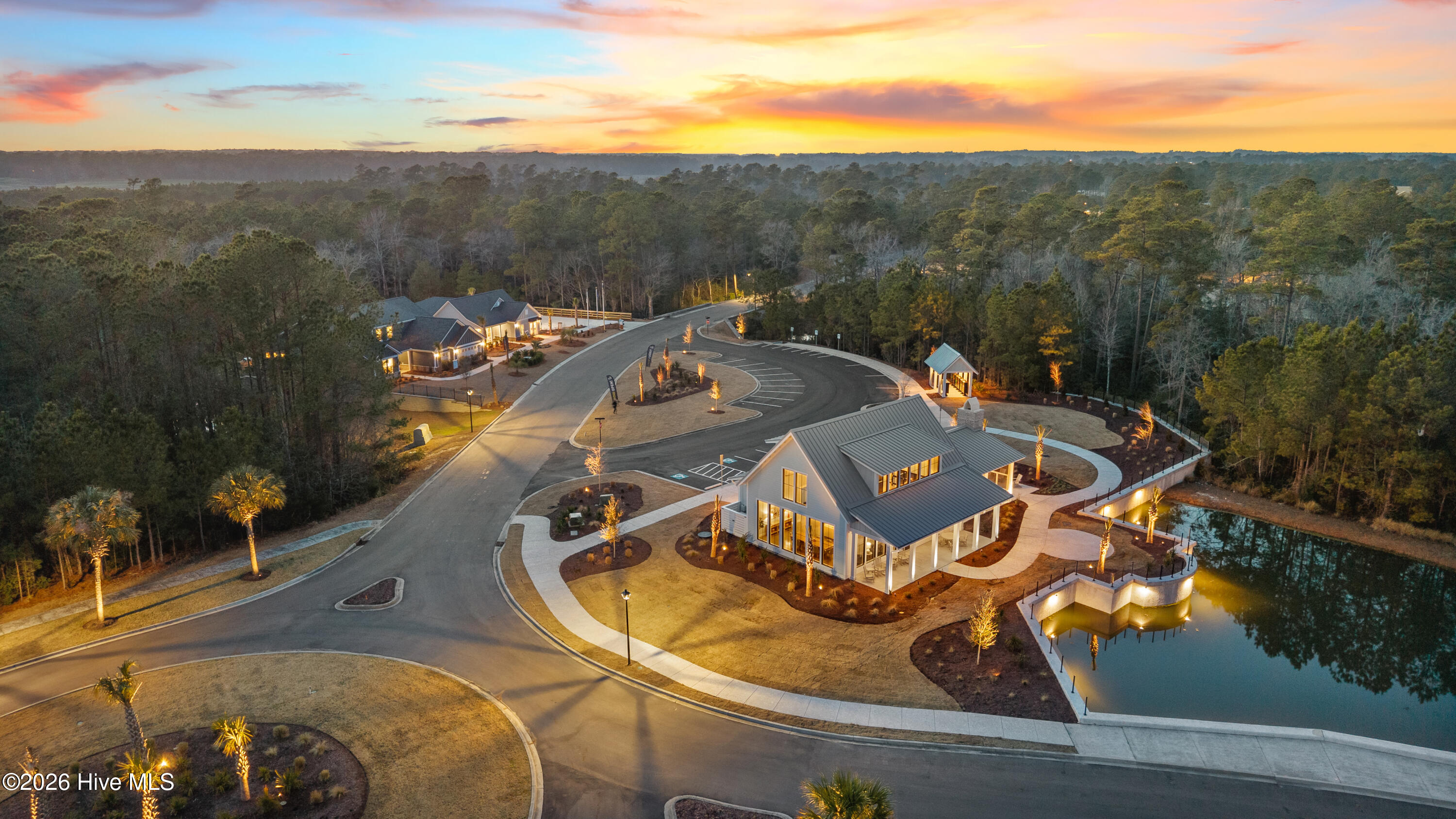 100572675 | Photo 4