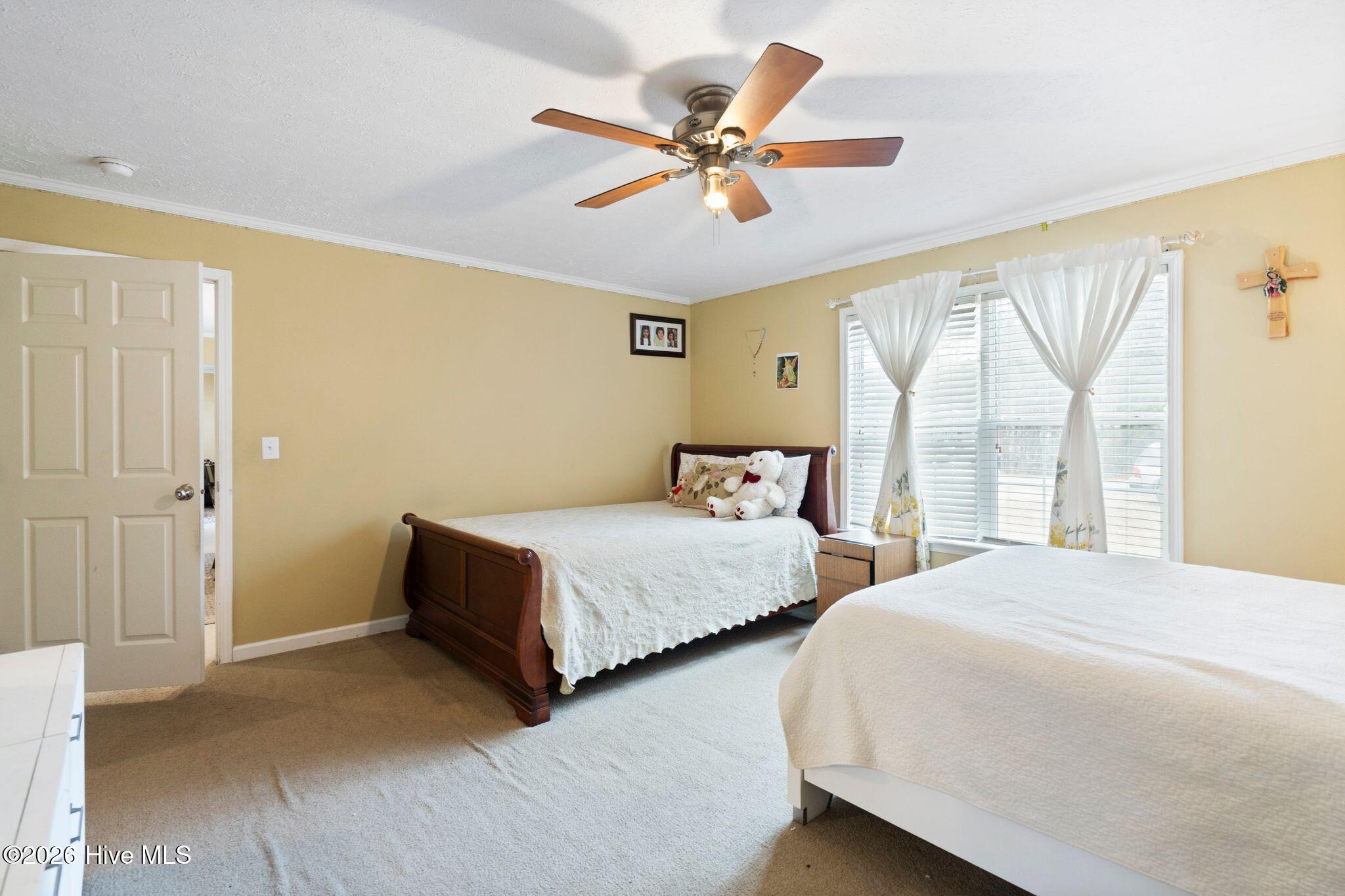 100558385 | Photo 25