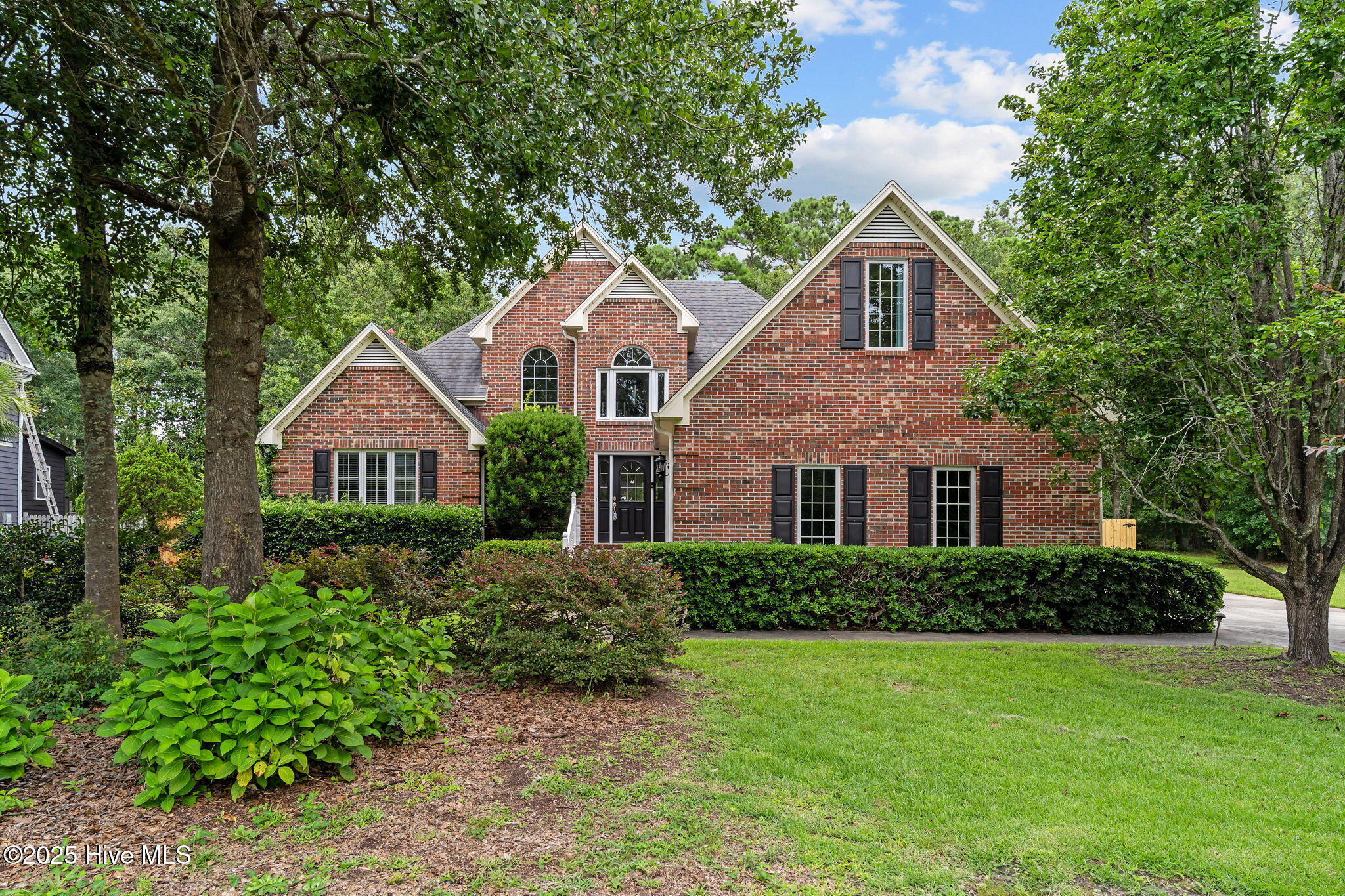 1-web-or-mls-BTS00351