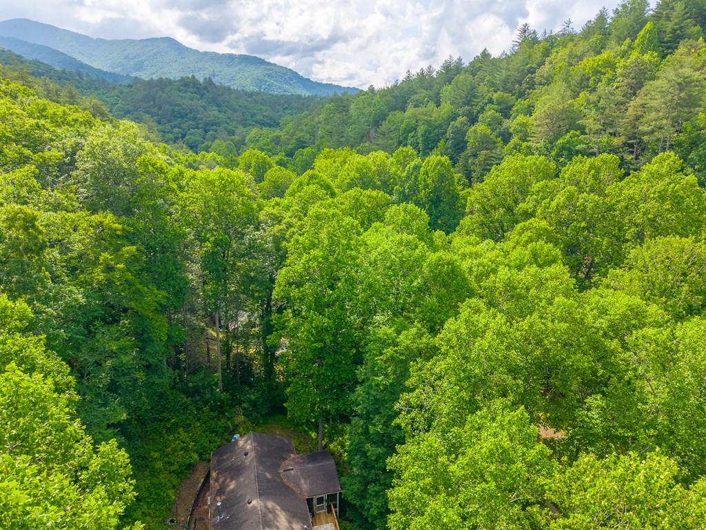 Exterior photo of 224 Cochrans Creek, Robbinsville, NC 28771. MLS: 98544685