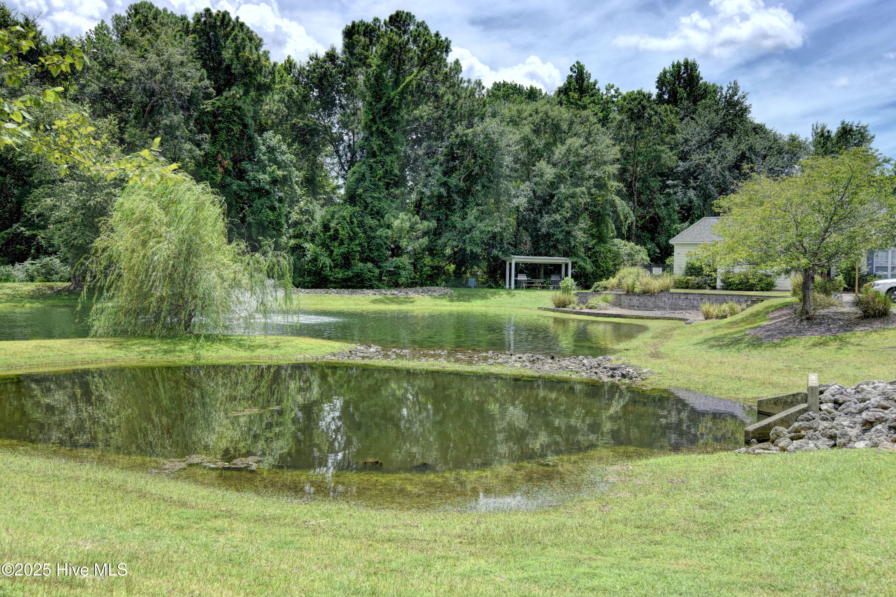 100533943 | Photo 32