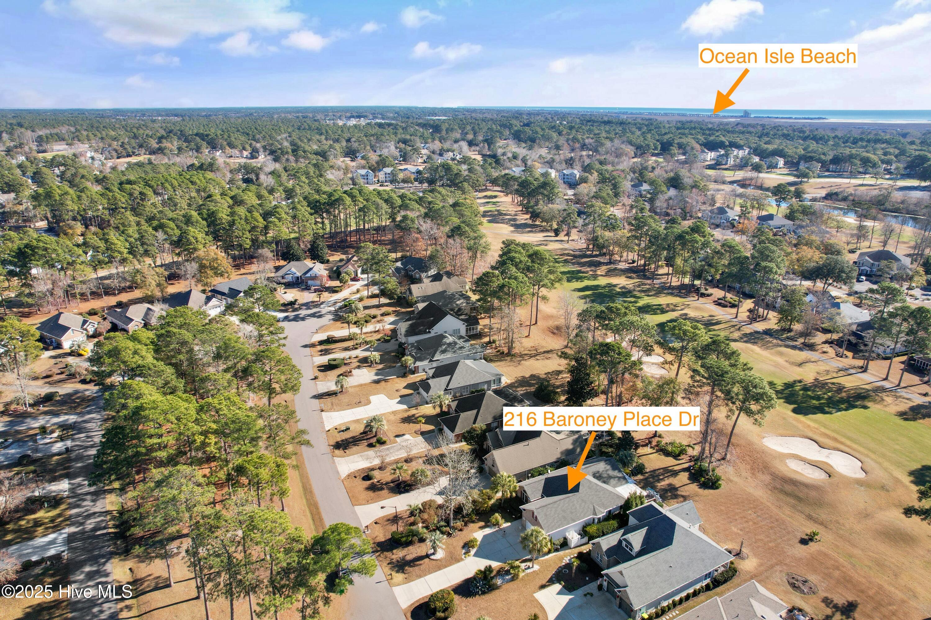 100545354 | Photo 43