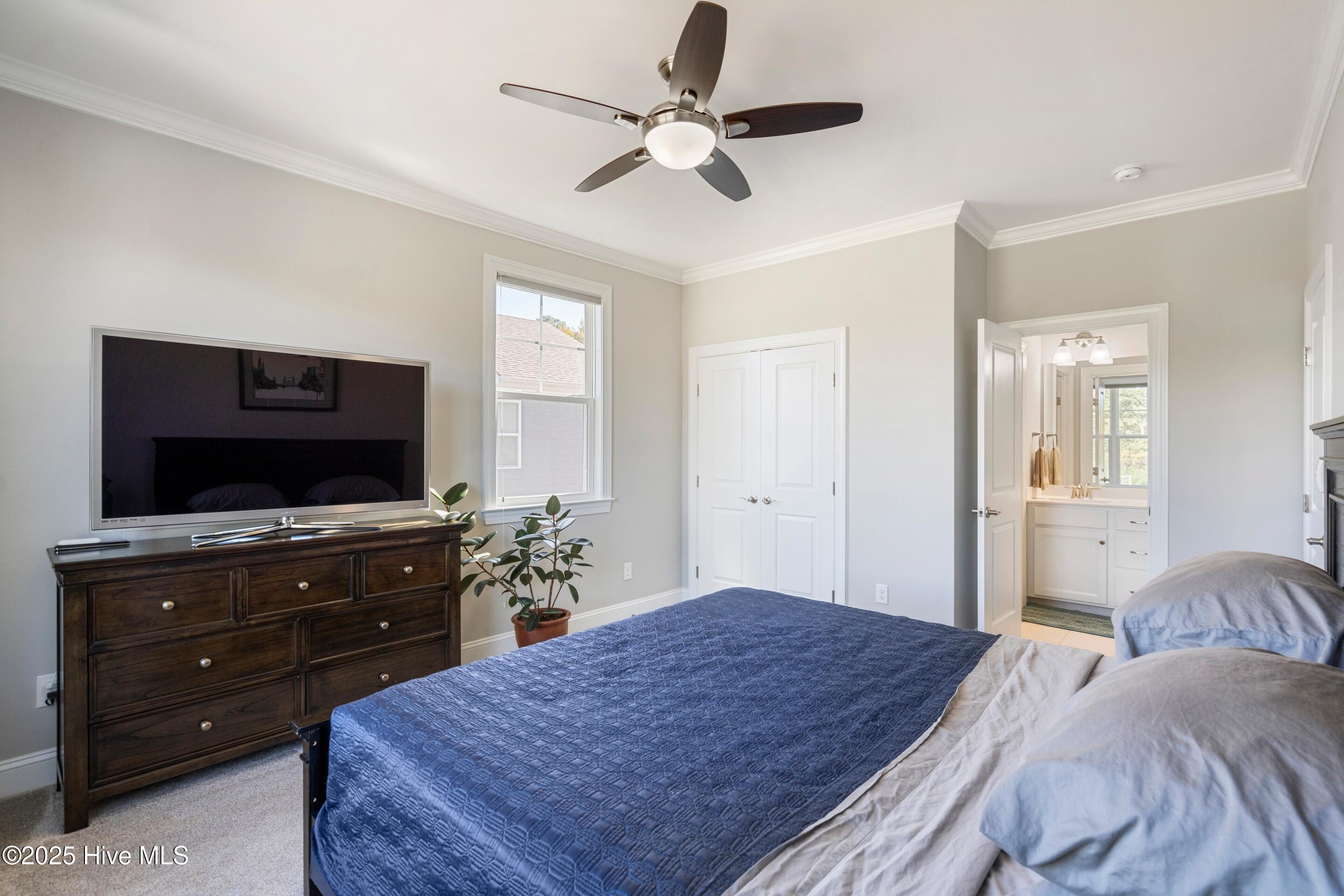 100538062 | Photo 42