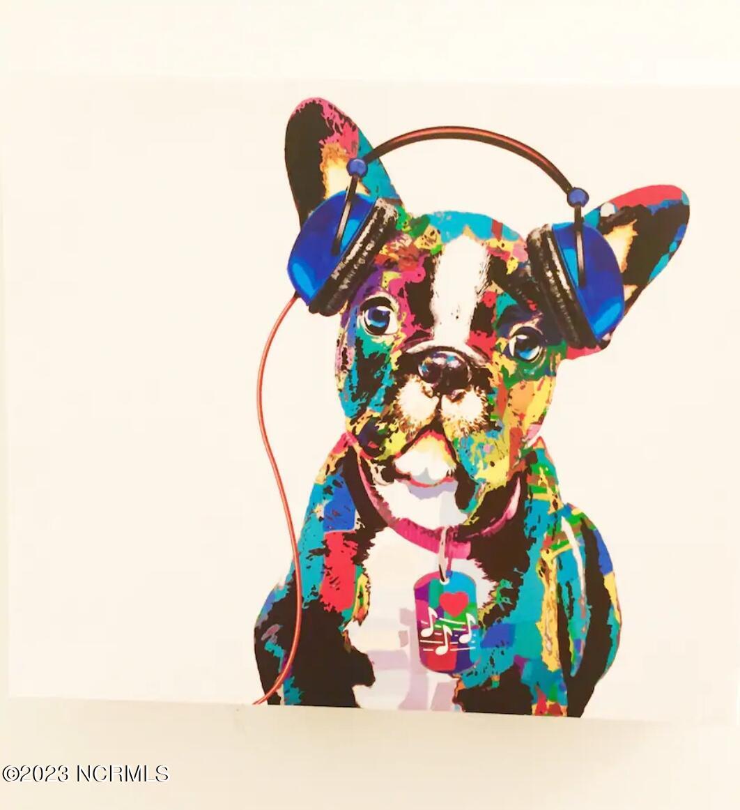 100564082 | Photo 11