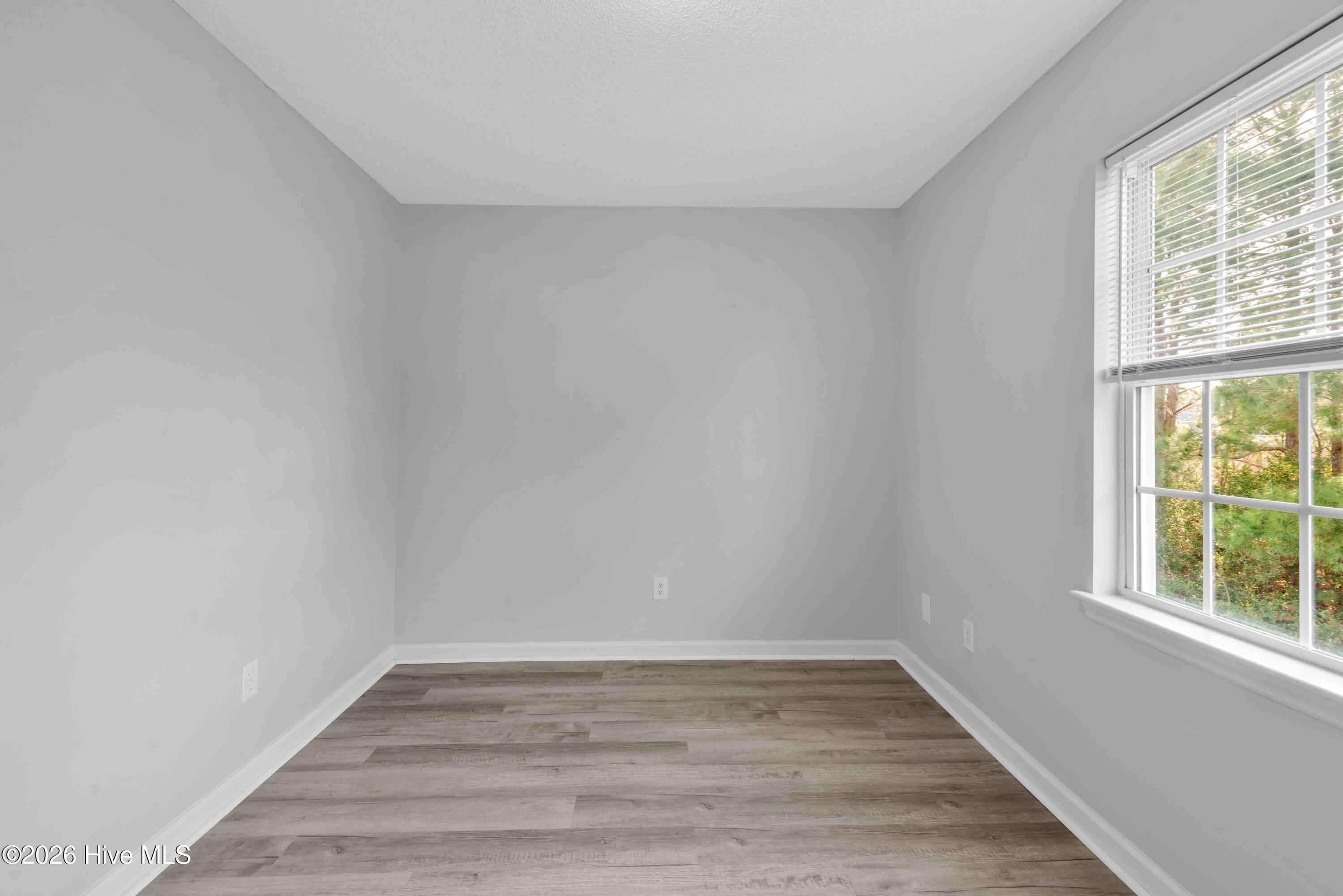 100558558 | Photo 17