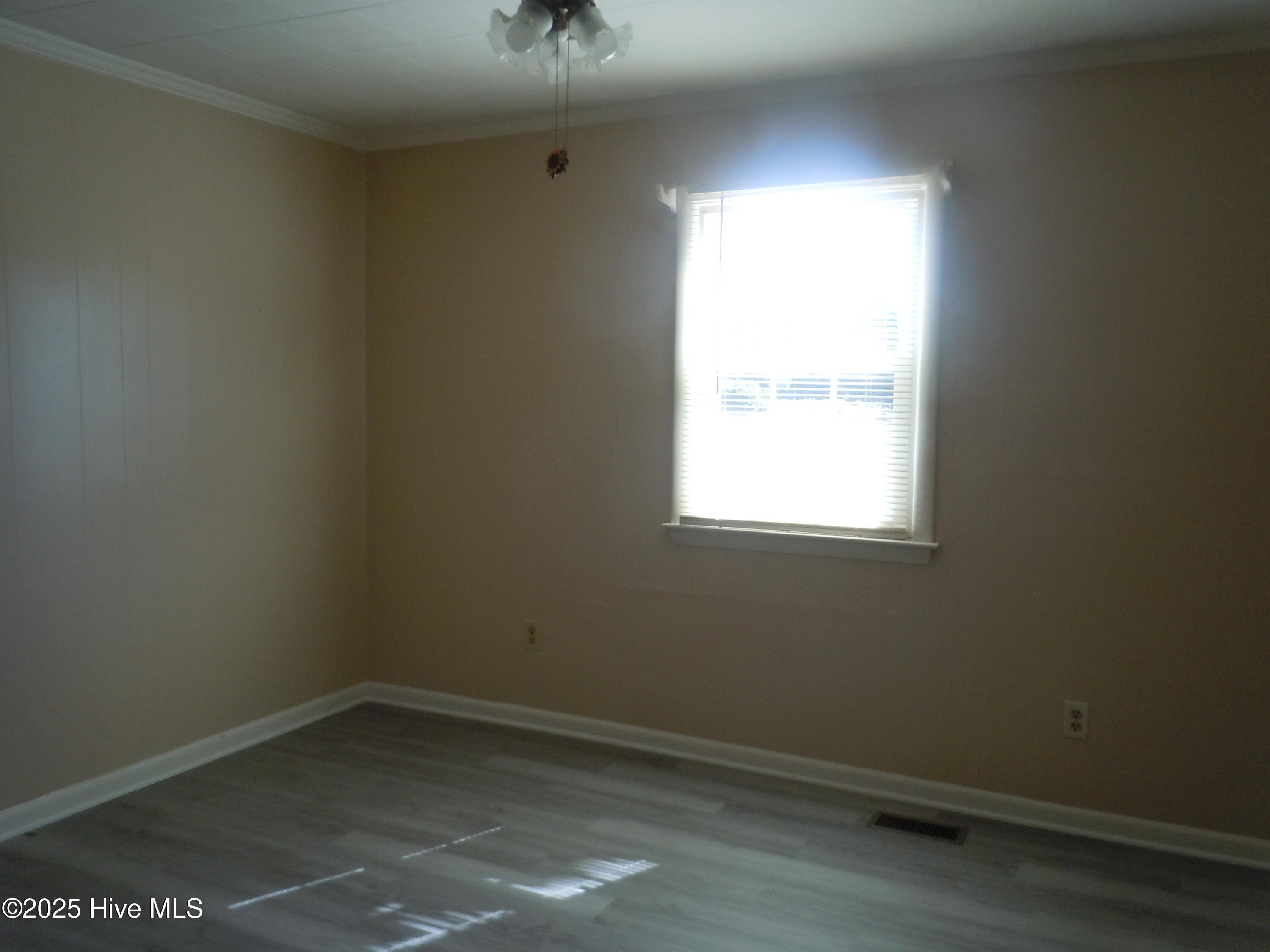 100528671 | Photo 44