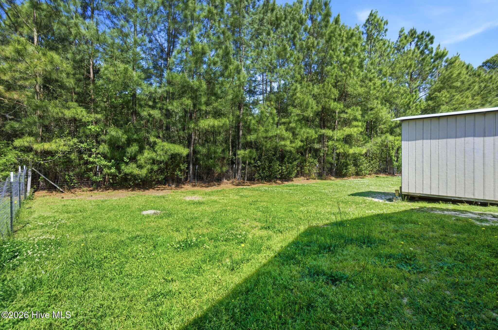 100567407 | Photo 38