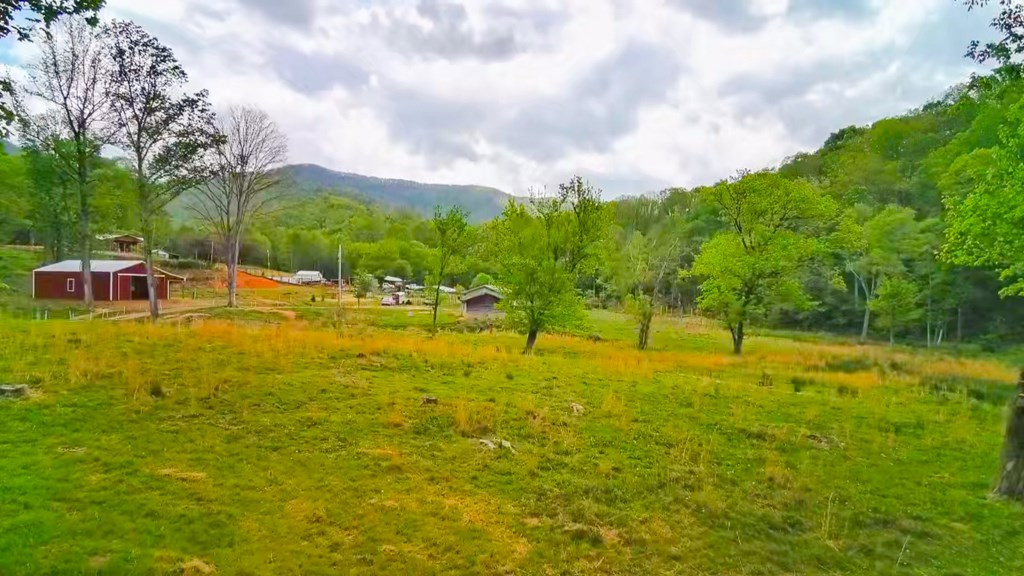 3325 Pack Mountain Road, Murphy, NC 28906 Listing Photo  62