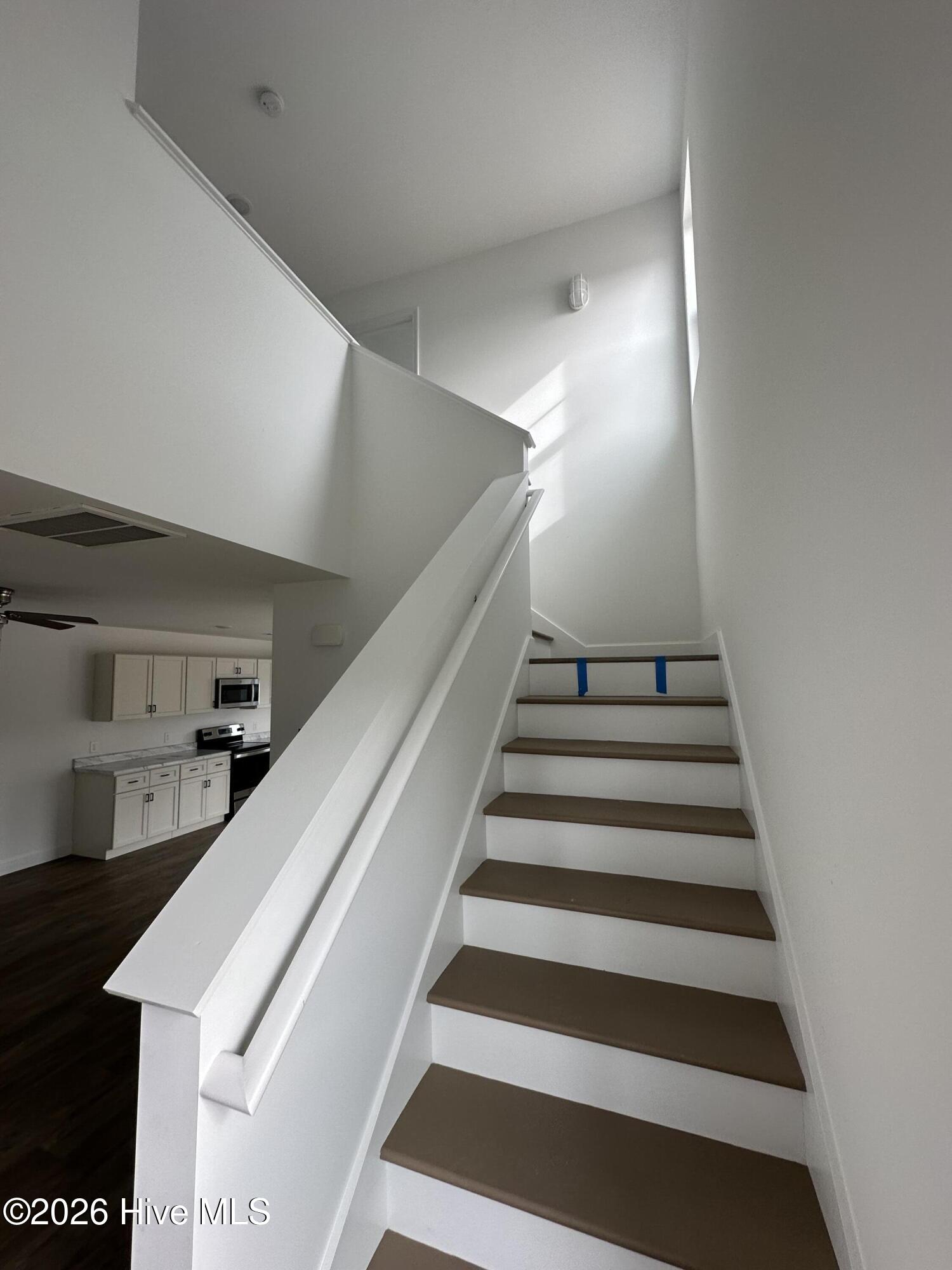 100569947 | Photo 11