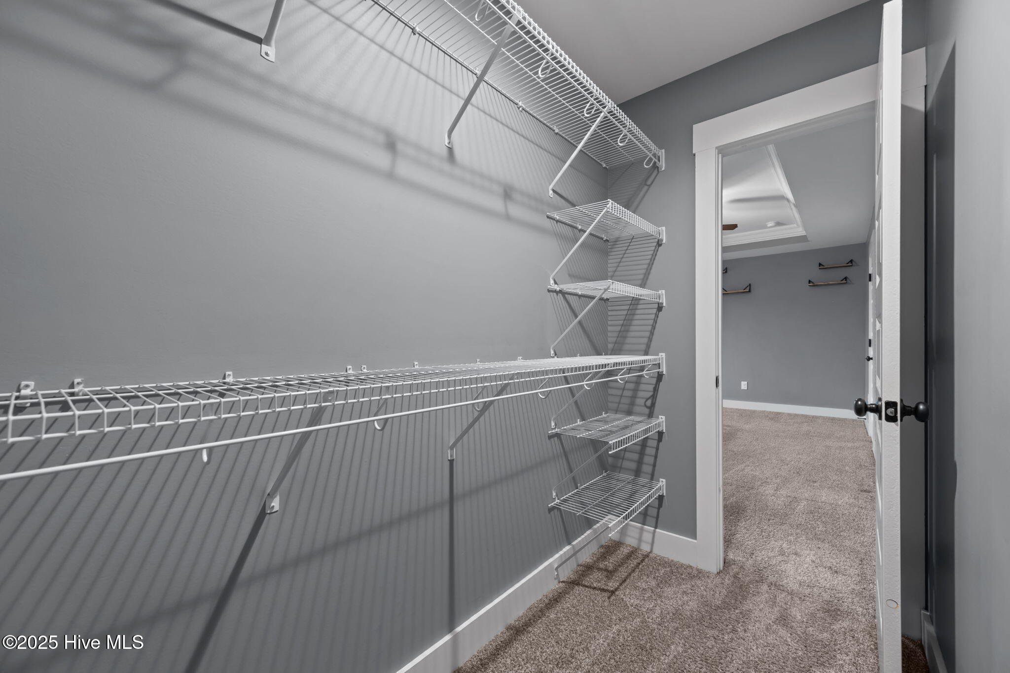 100544347 | Photo 22