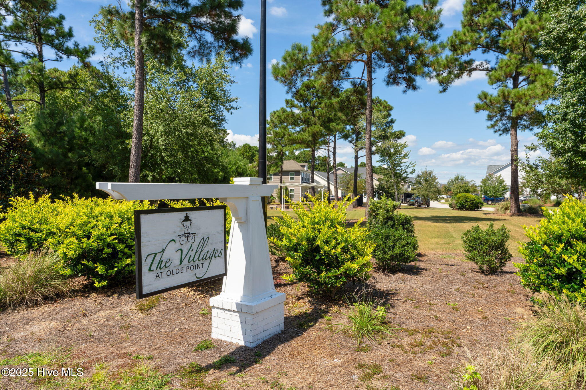 100530499 | Photo 33