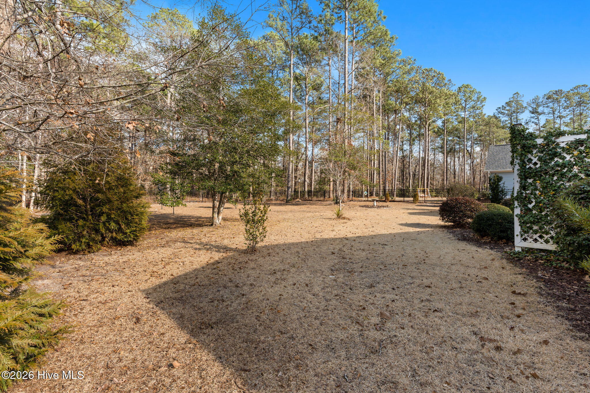 100560975 | Photo 47