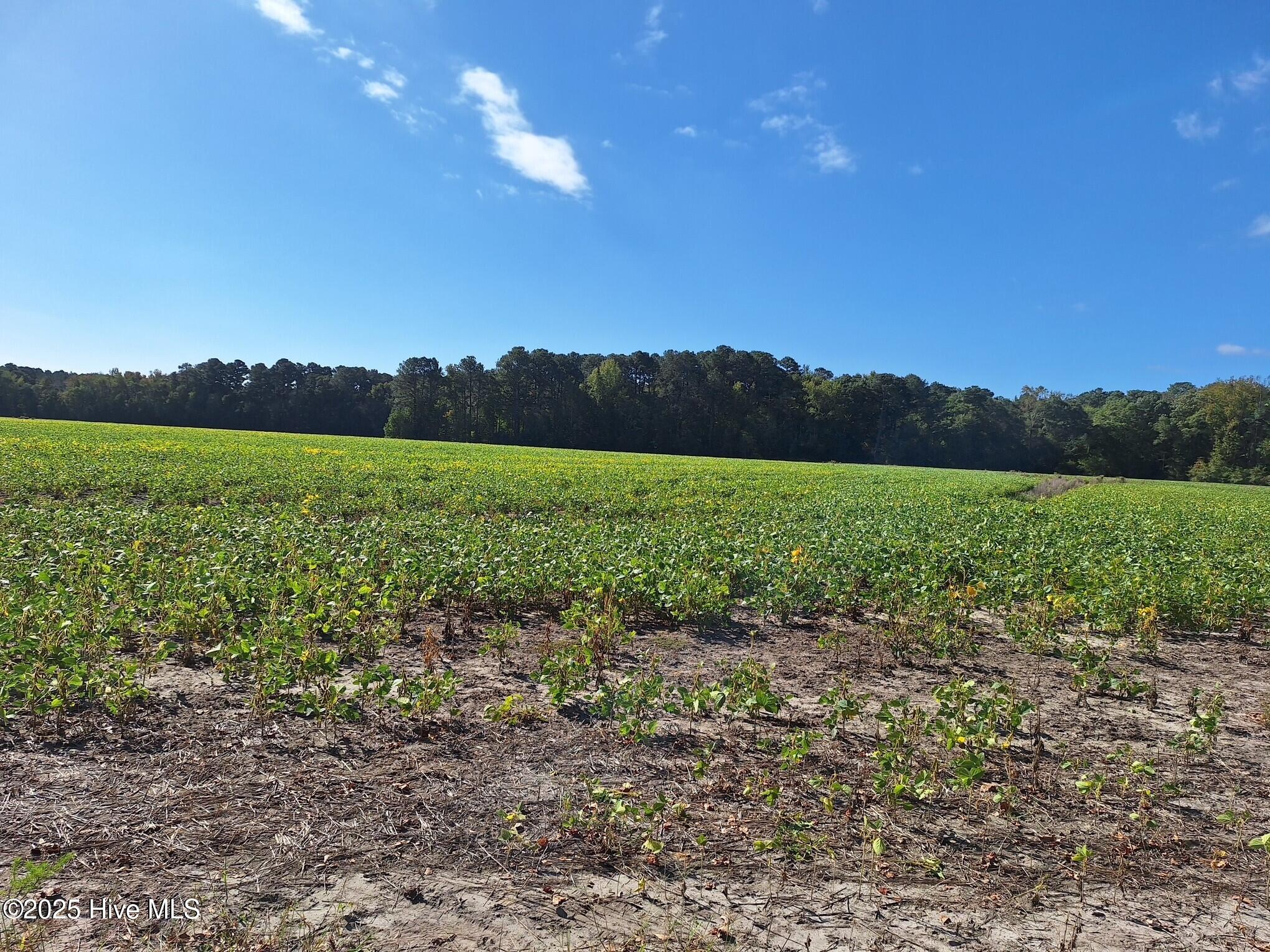 Homes for sale in Robersonville, NC | 1676 Ross Rd, Robersonville, NC 27871 | MLS# 100540564