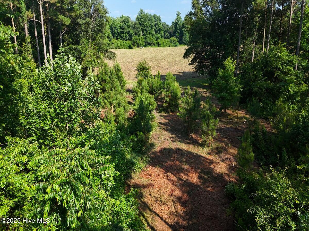 100513588 | Photo 33