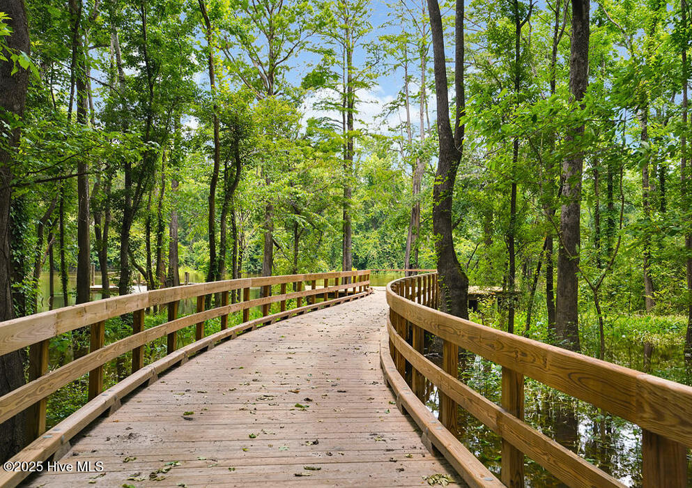 100527117 | Photo 64