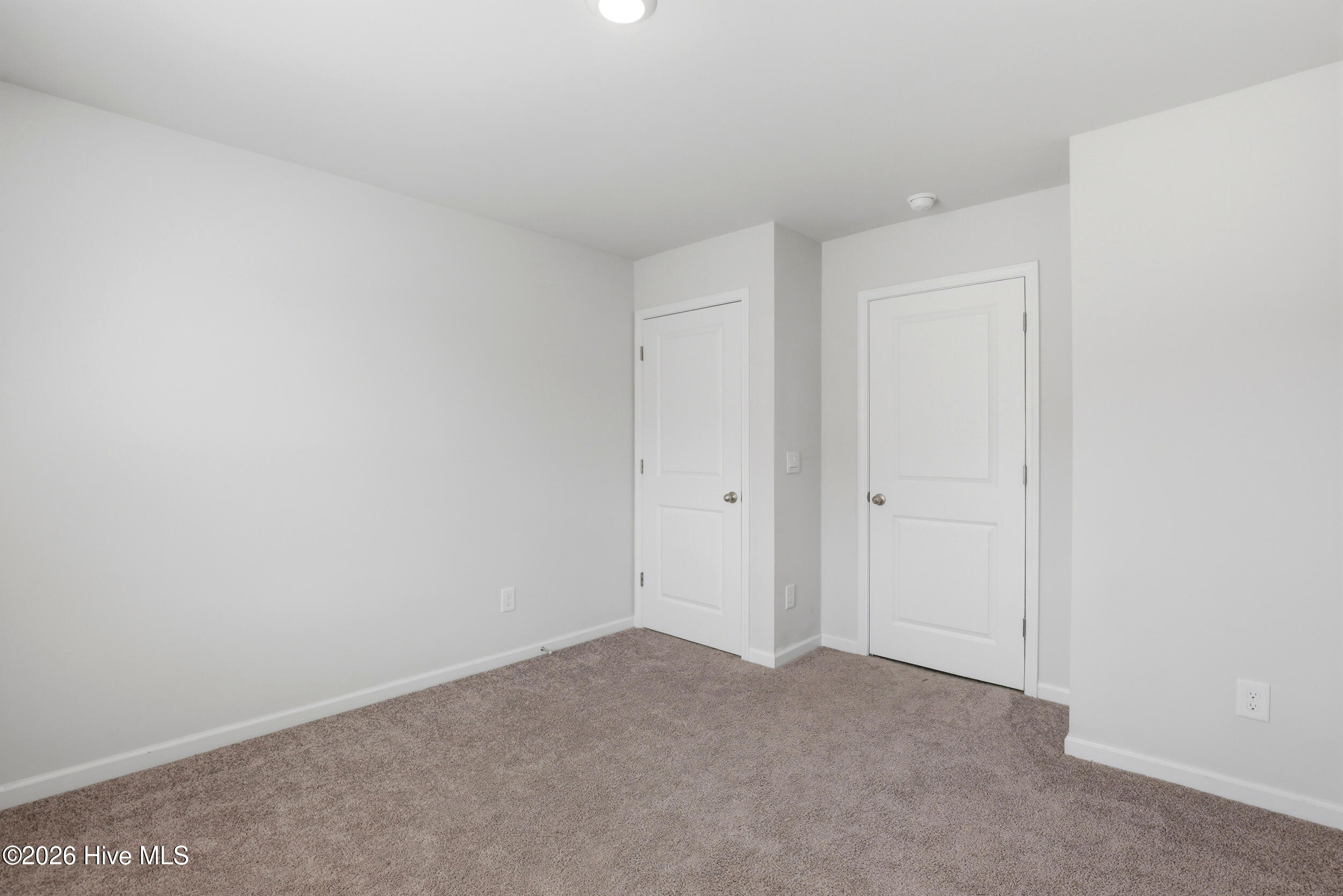 100558236 | Photo 24