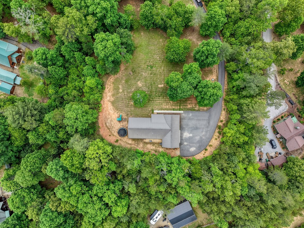 290 Butterball Boulevard, Murphy, NC 28906 Listing Photo  42