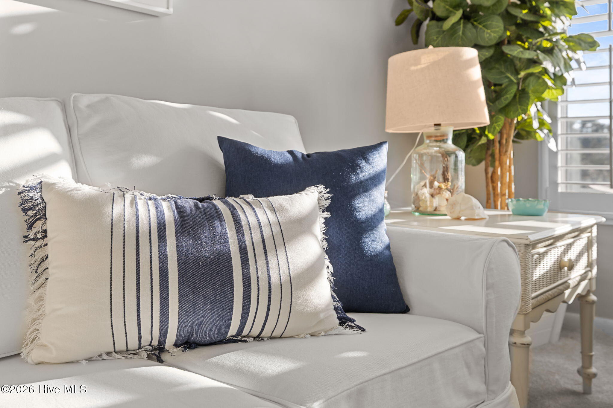 100554625 | Photo 29