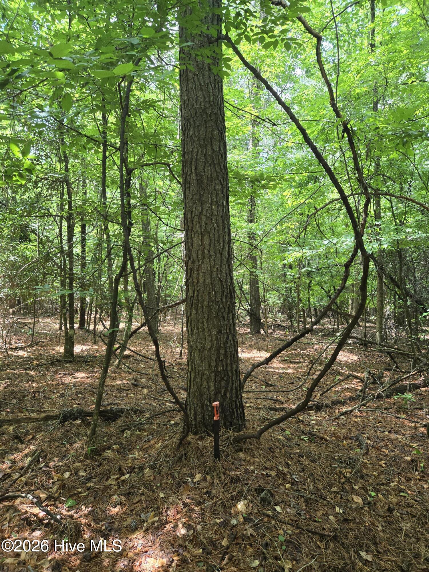 4th image of 0 Ballard Rd, Williamston, NC 27892 | MLS# 100593404