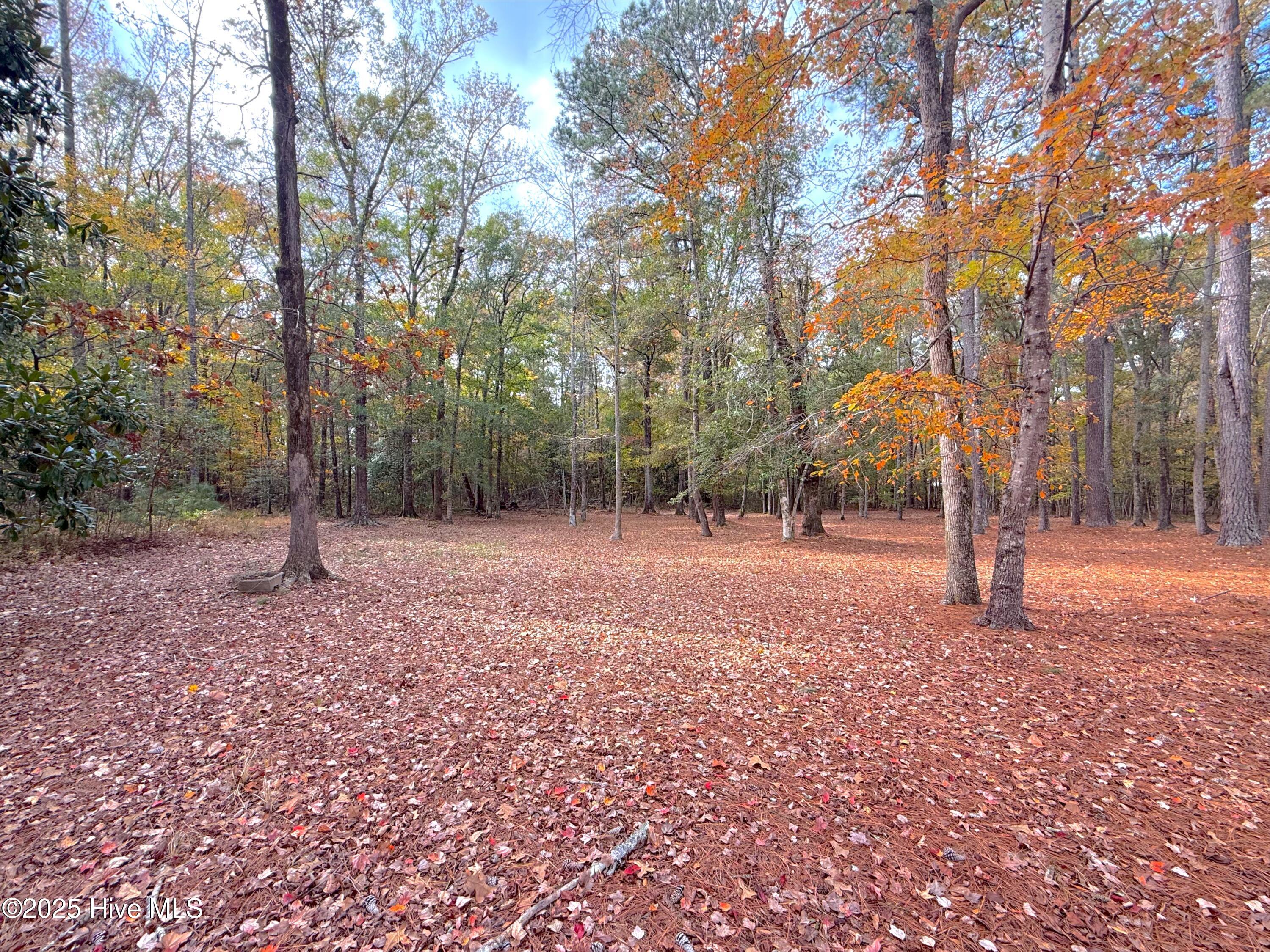 349 Barwick Drive, Washington, NC, 27889