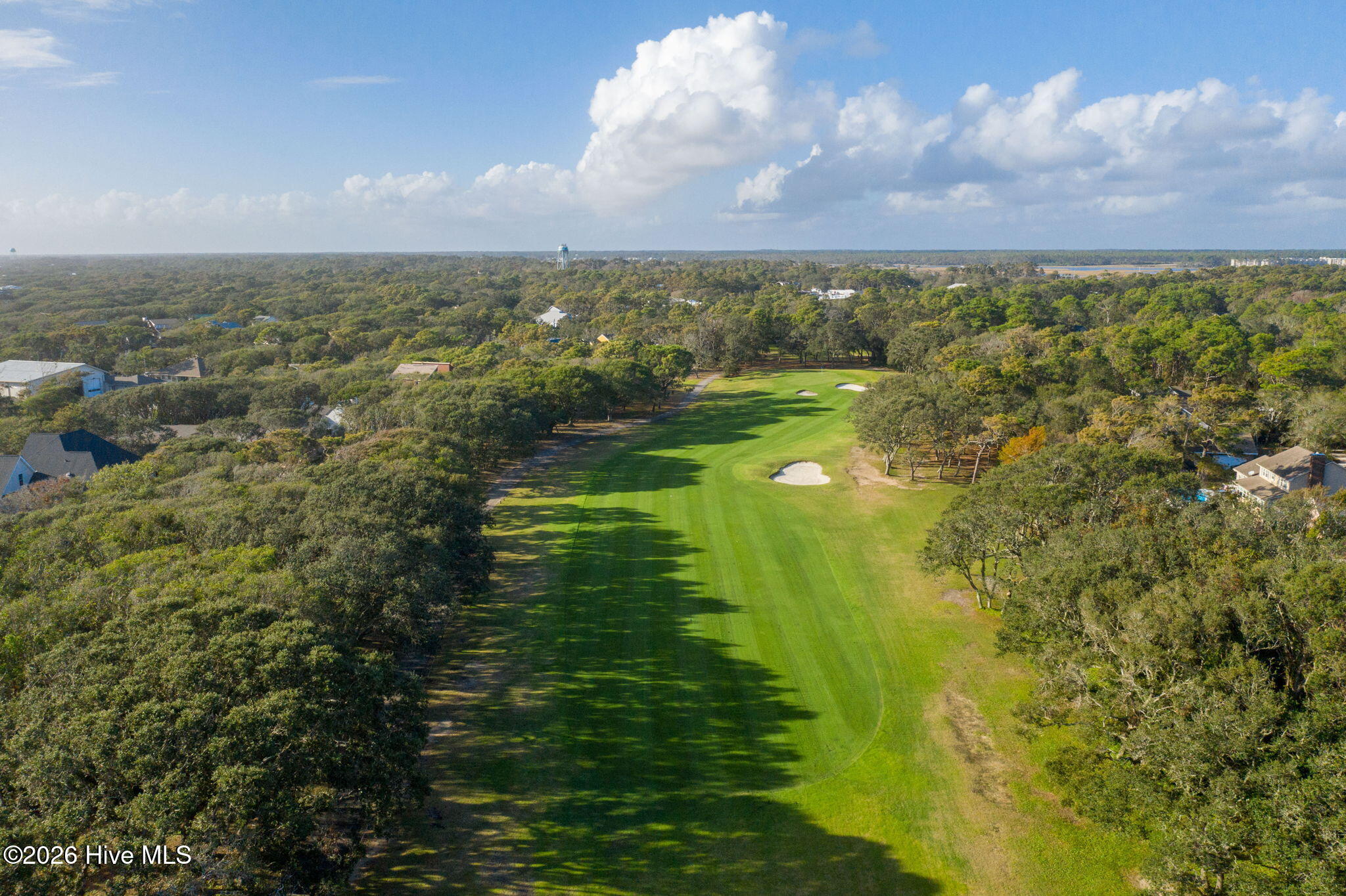 100567981 | Photo 12