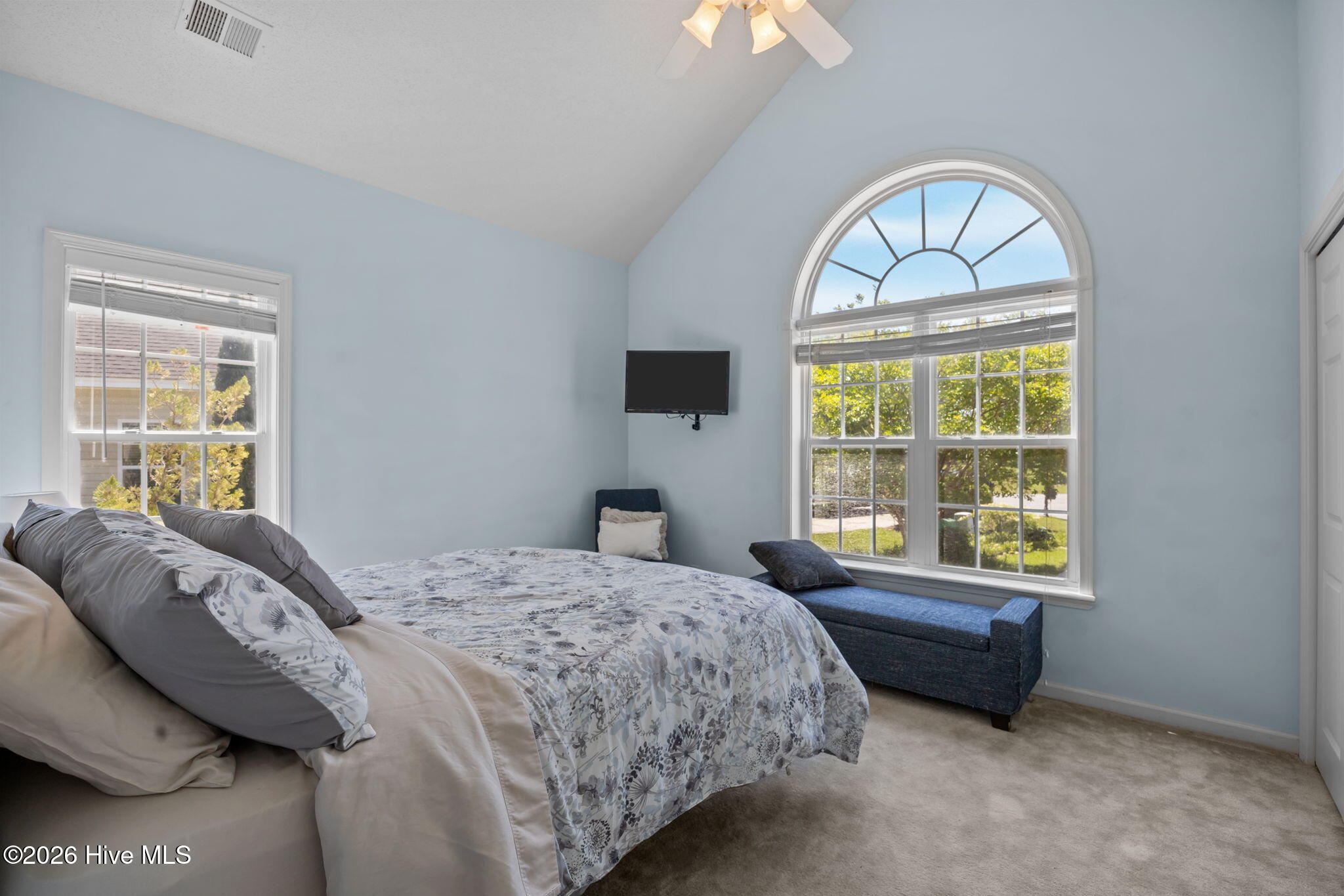 100569255 | Photo 20