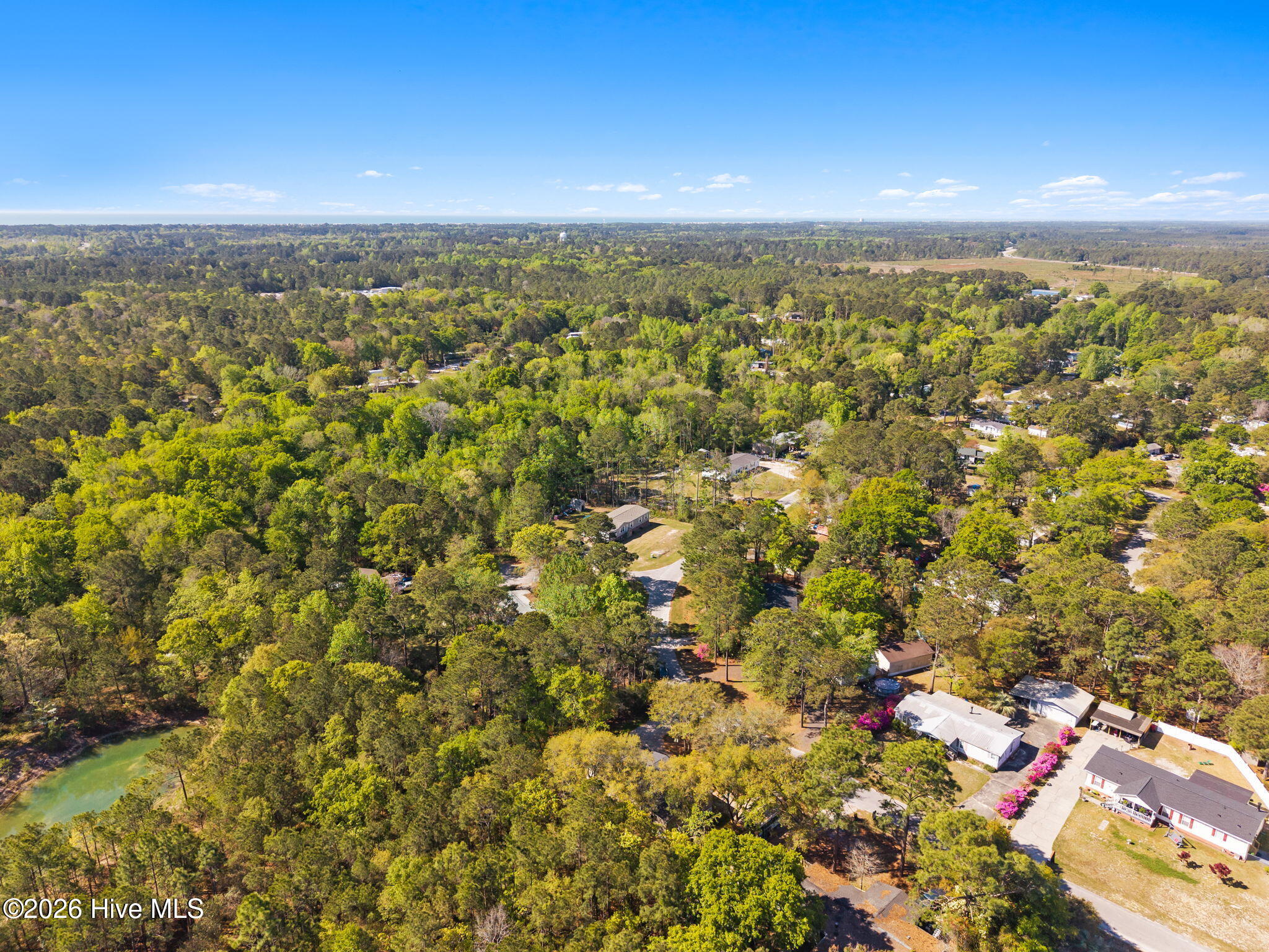 100569950 | Photo 35