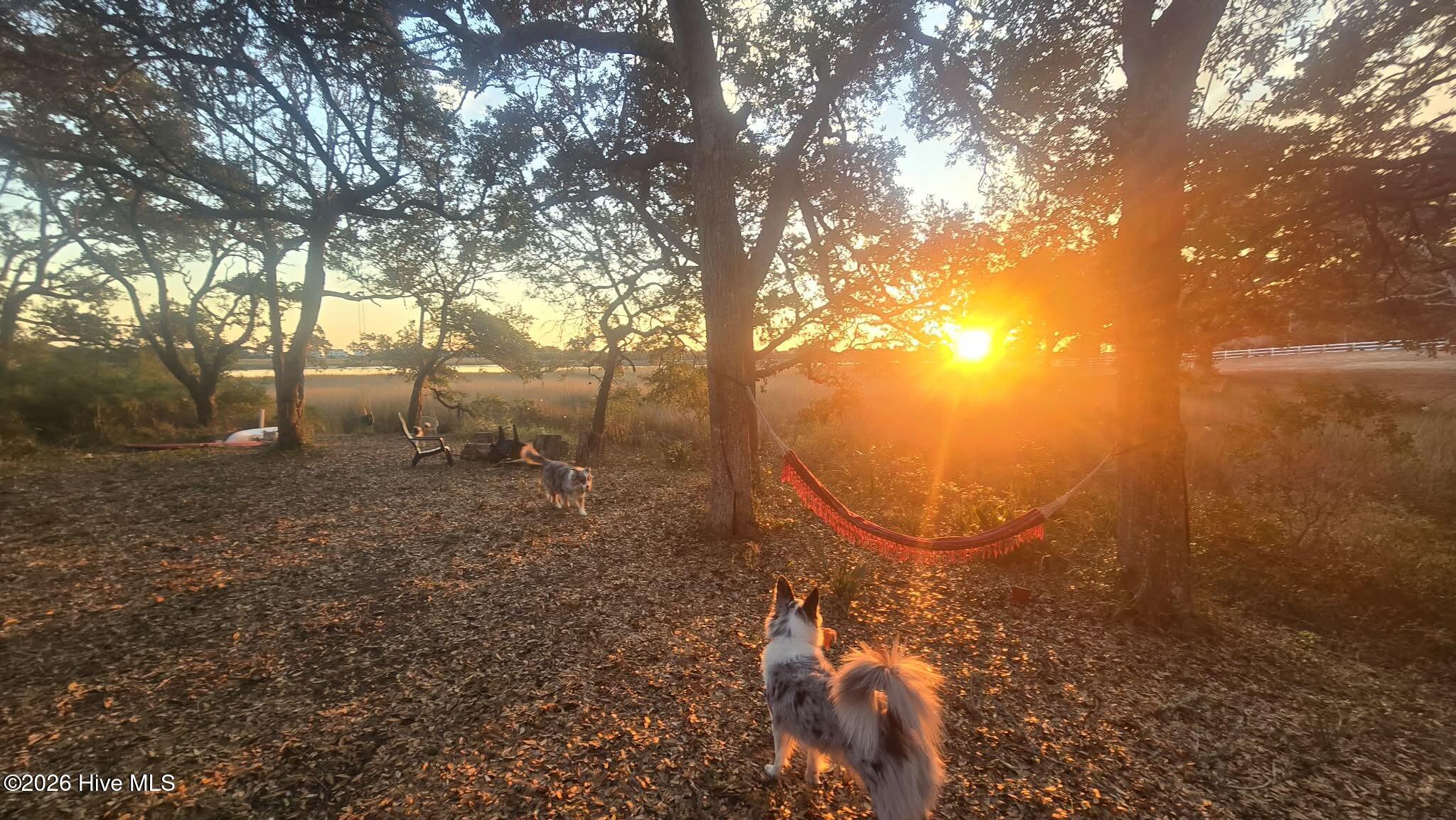 100547303 | Photo 64