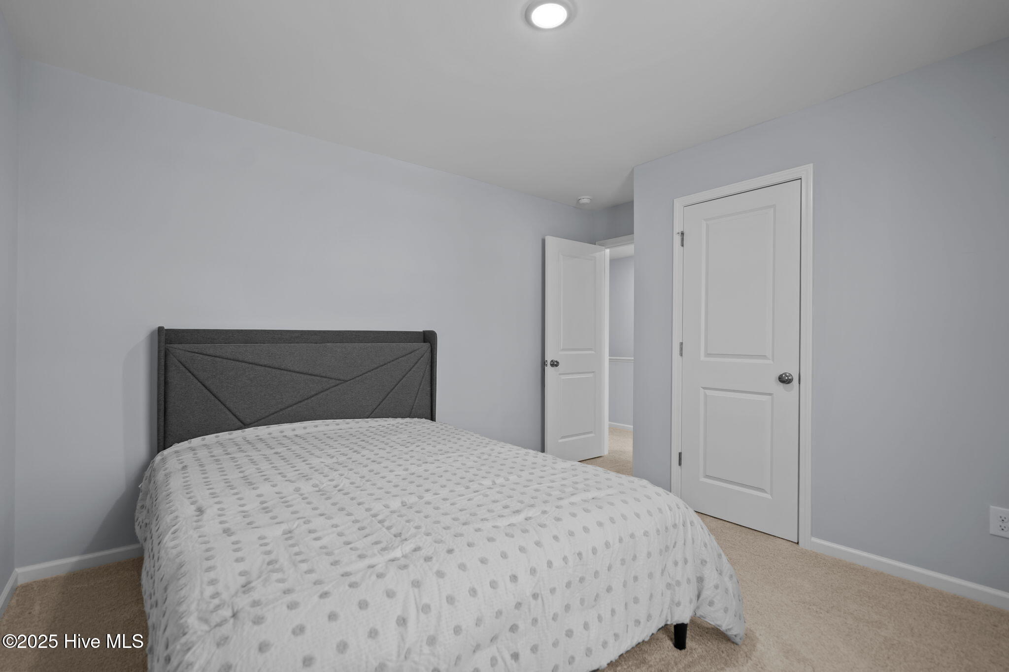 100527682 | Photo 30