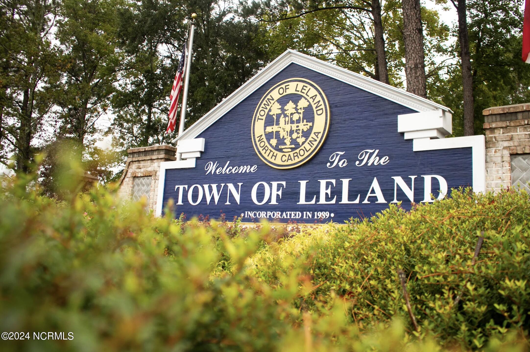 100454255 | Photo 42