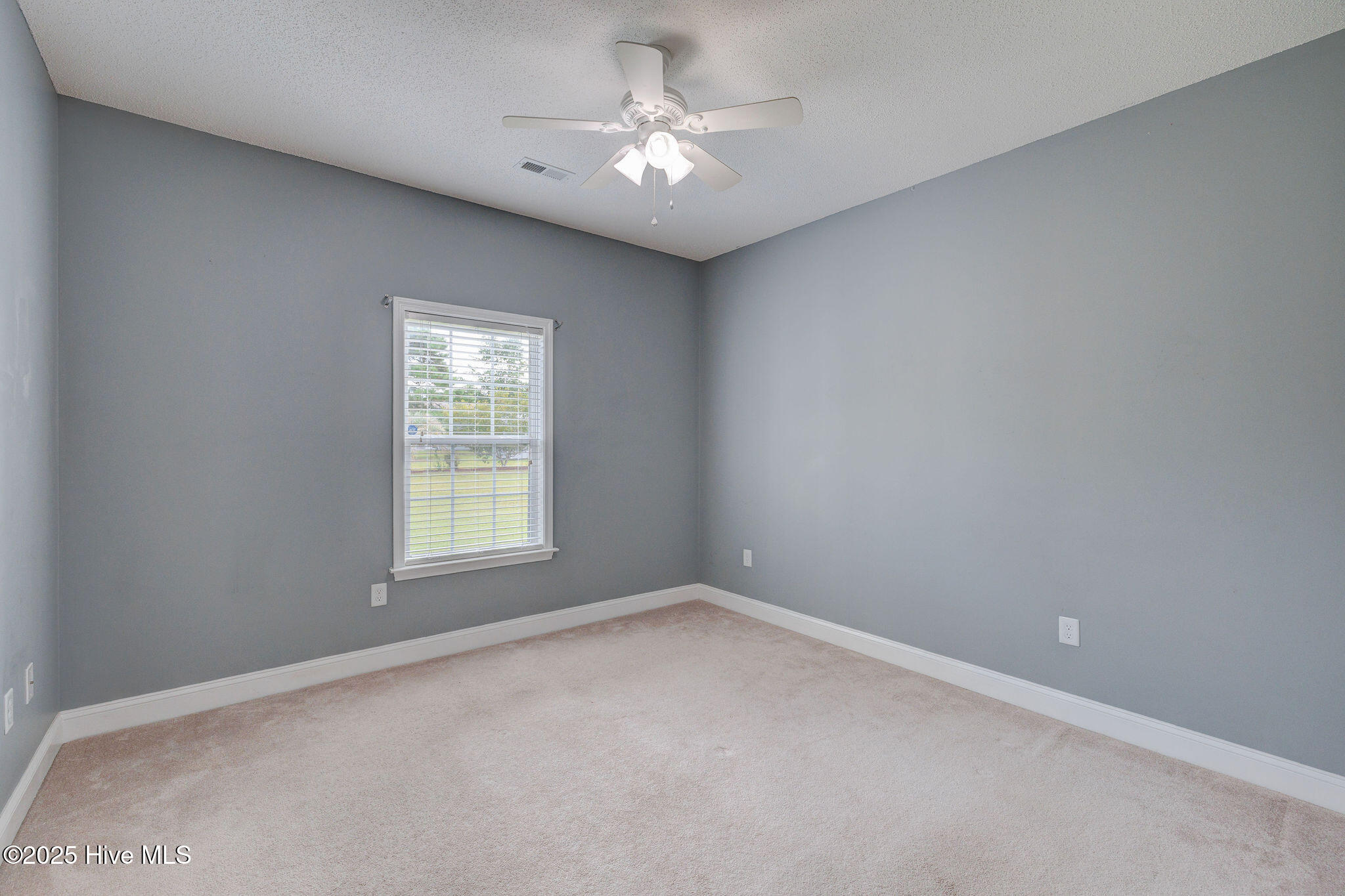 100530033 | Photo 19