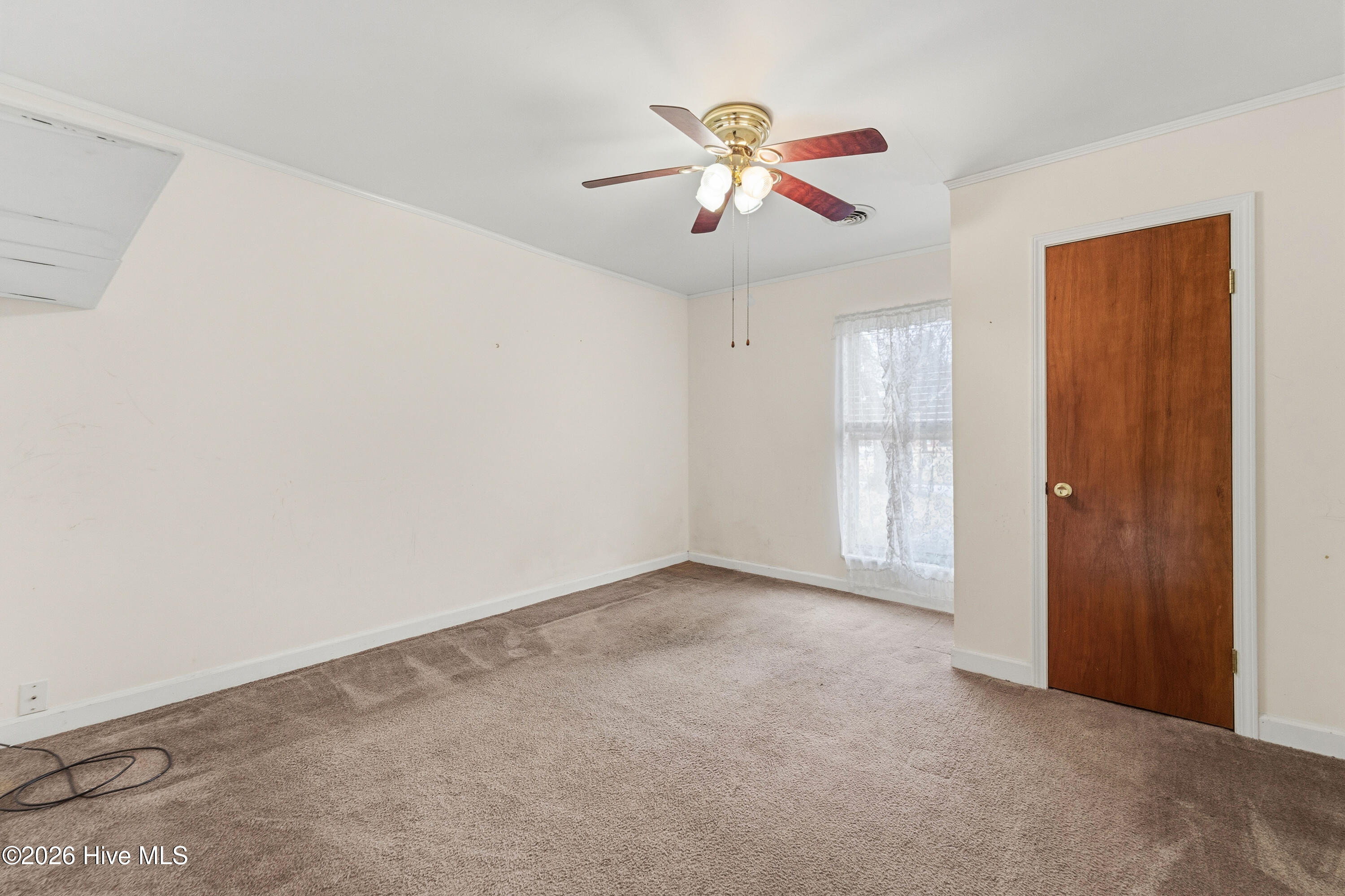 100556367 | Photo 24