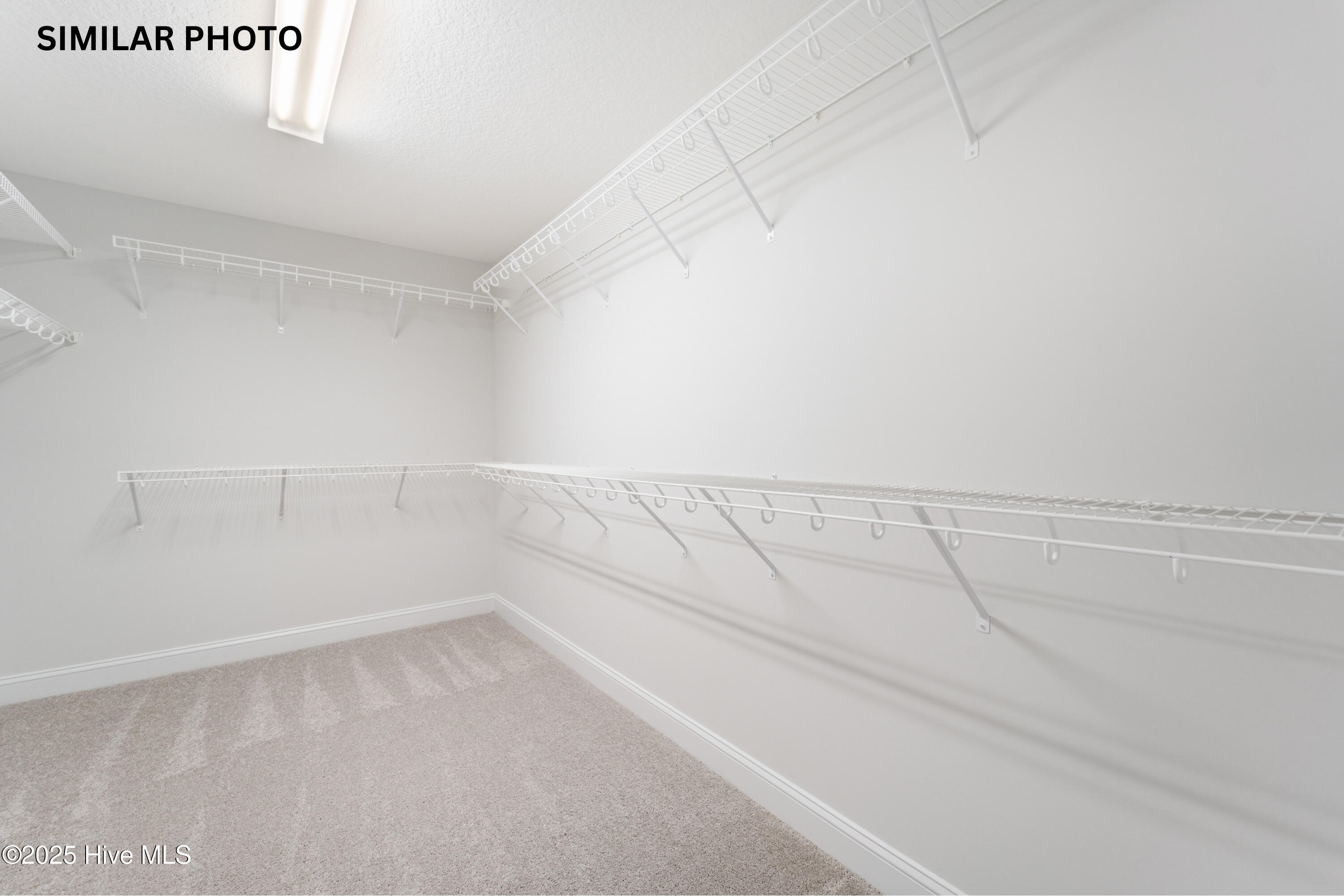 100521769 | Photo 33