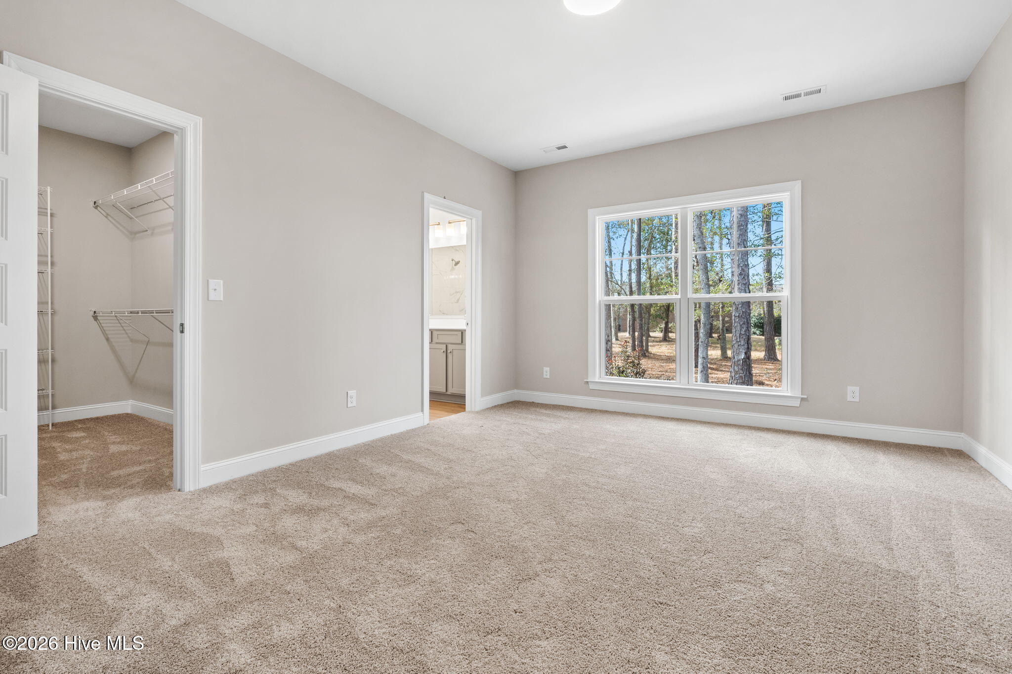 100537582 | Photo 19