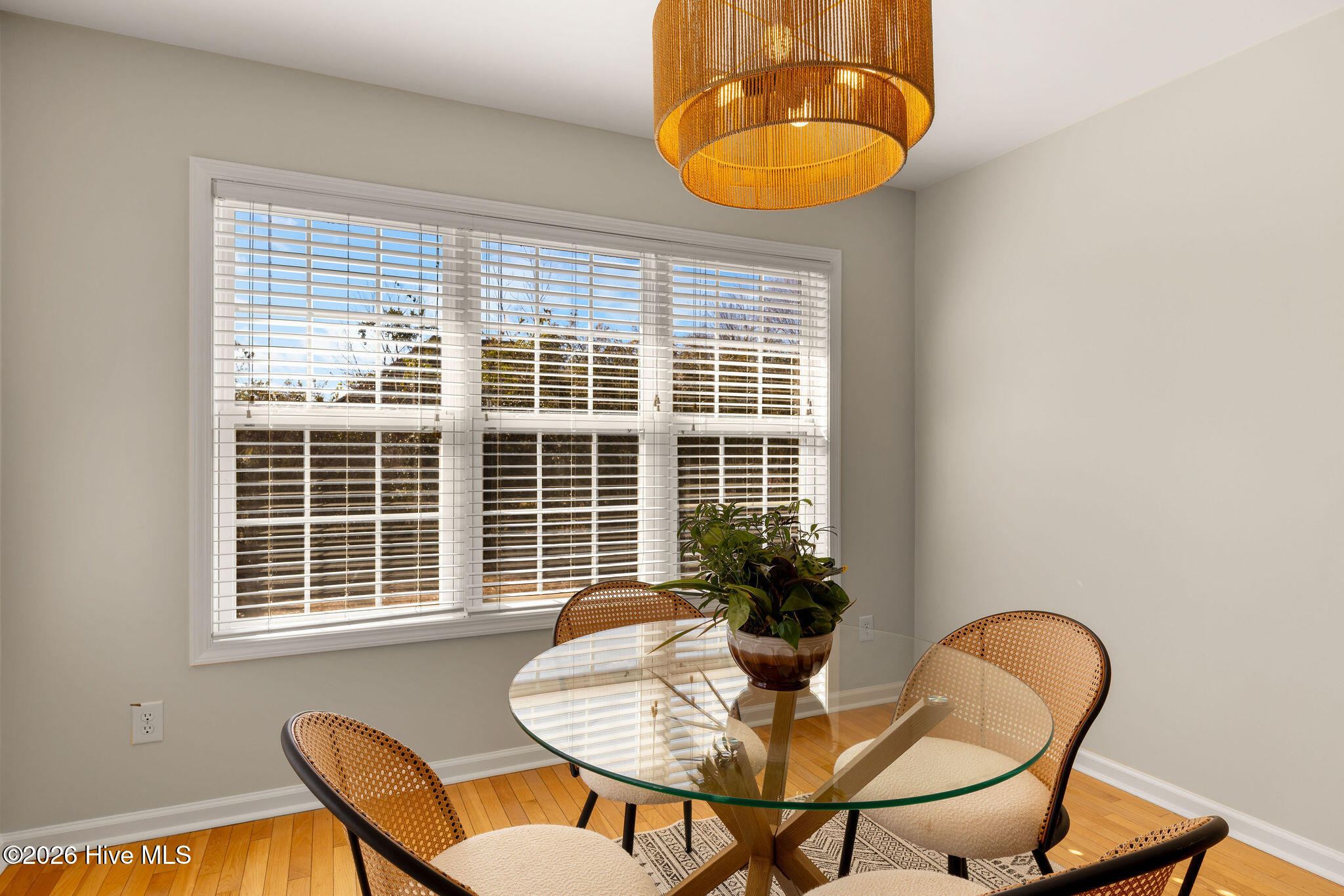 100554180 | Photo 24