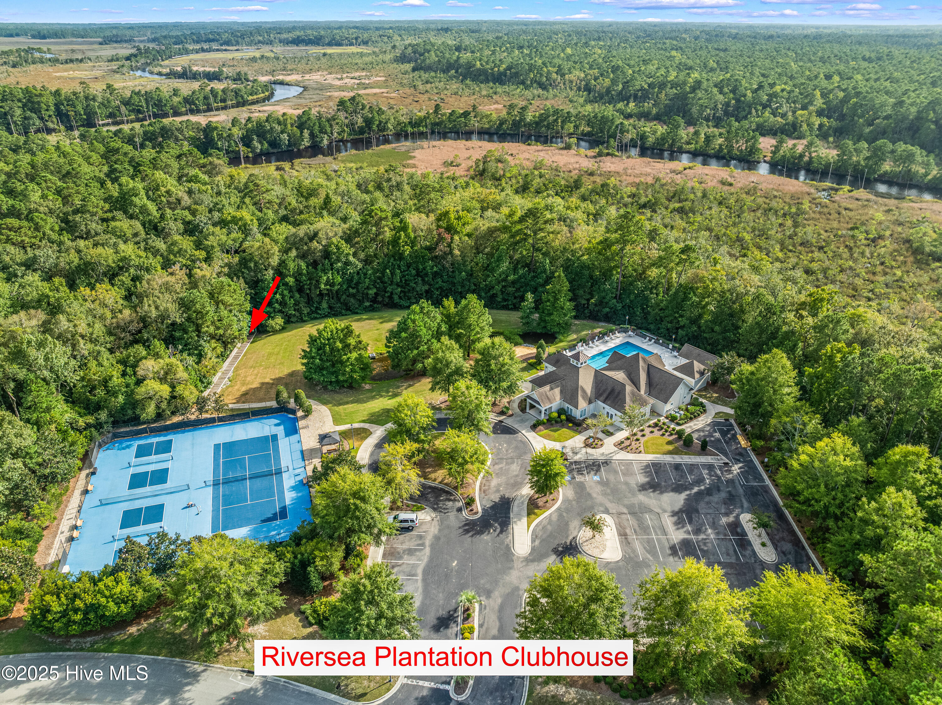 100532334 | Photo 66