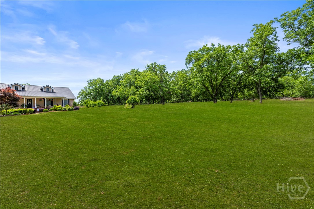 11959 US 301 Highway N, Claxton, GA, 30417