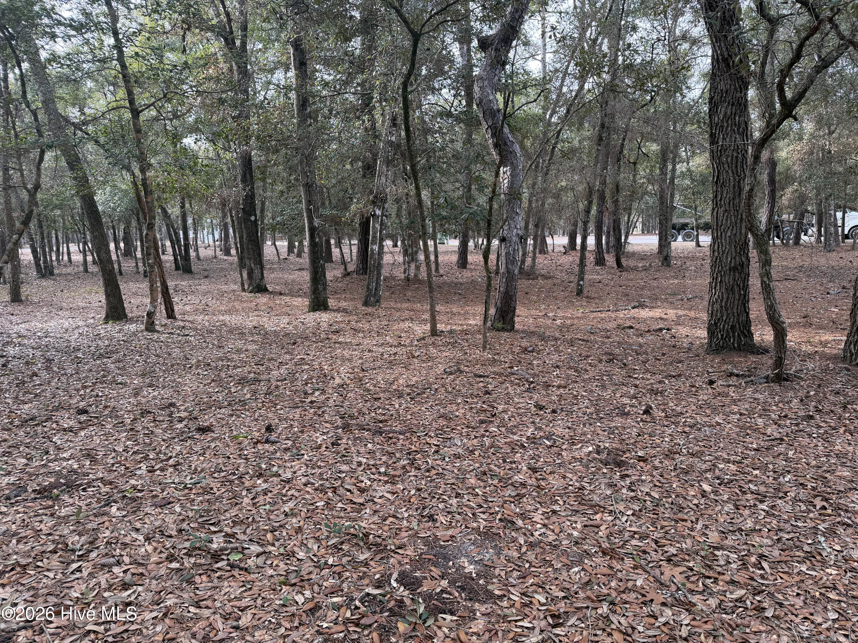 100557088 | Photo 13