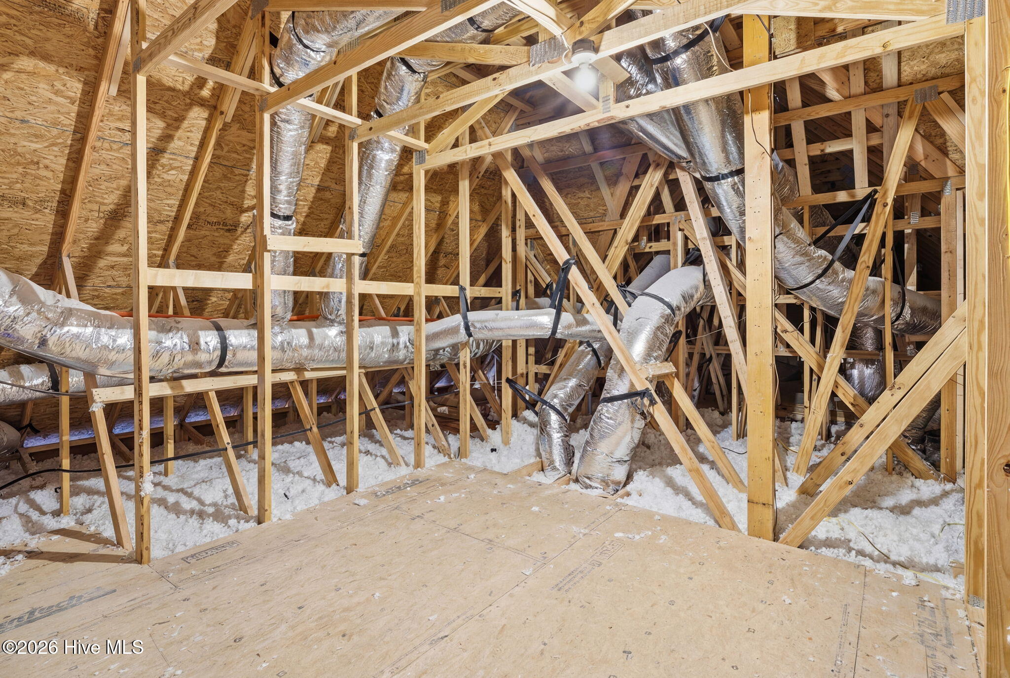 100562076 | Photo 50