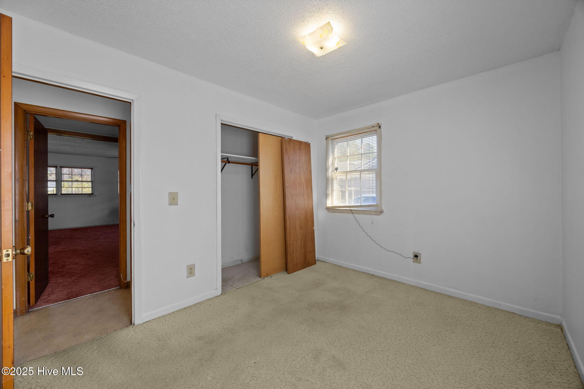 100542323 | Photo 21