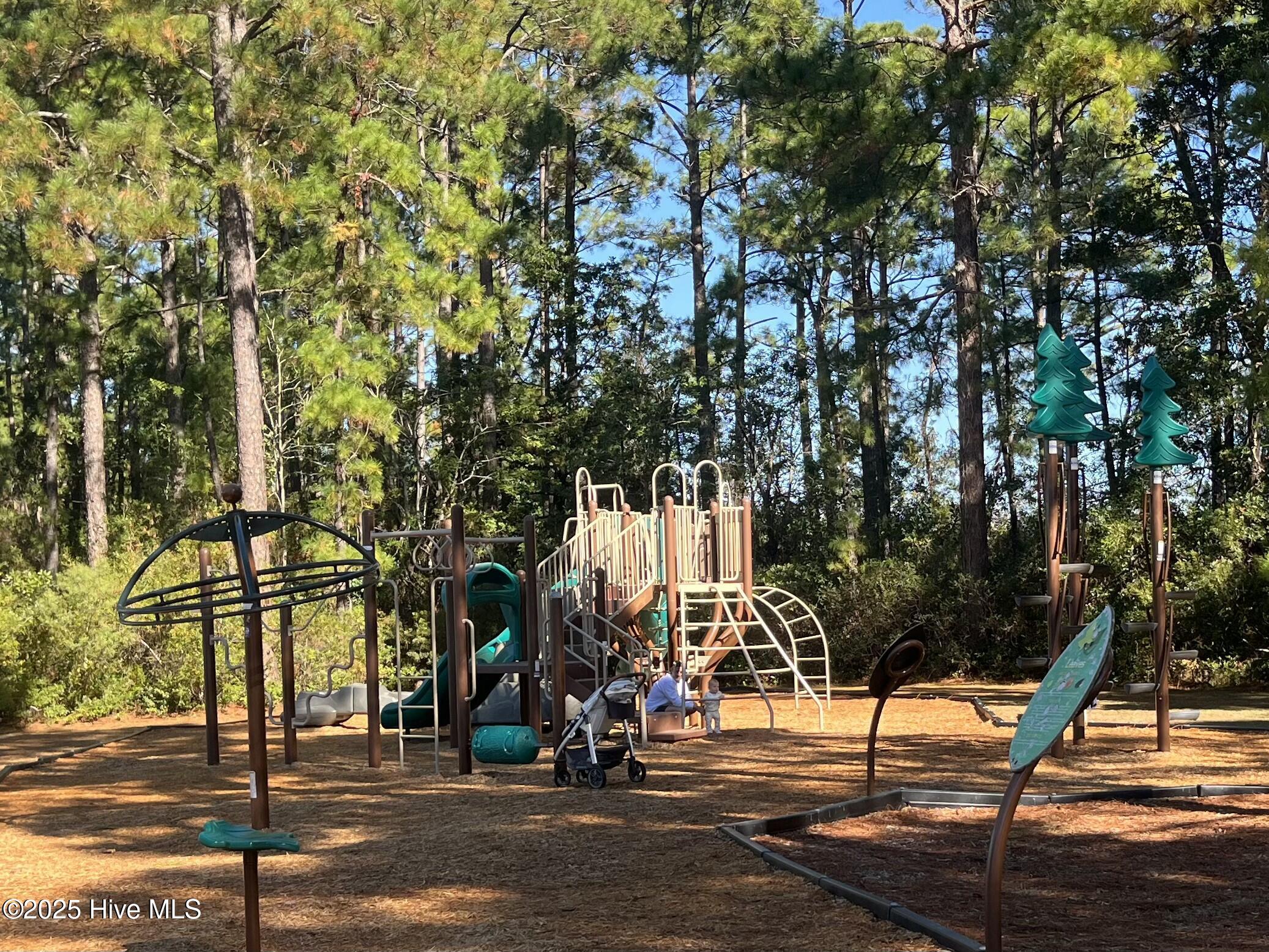 100539518 | Photo 68