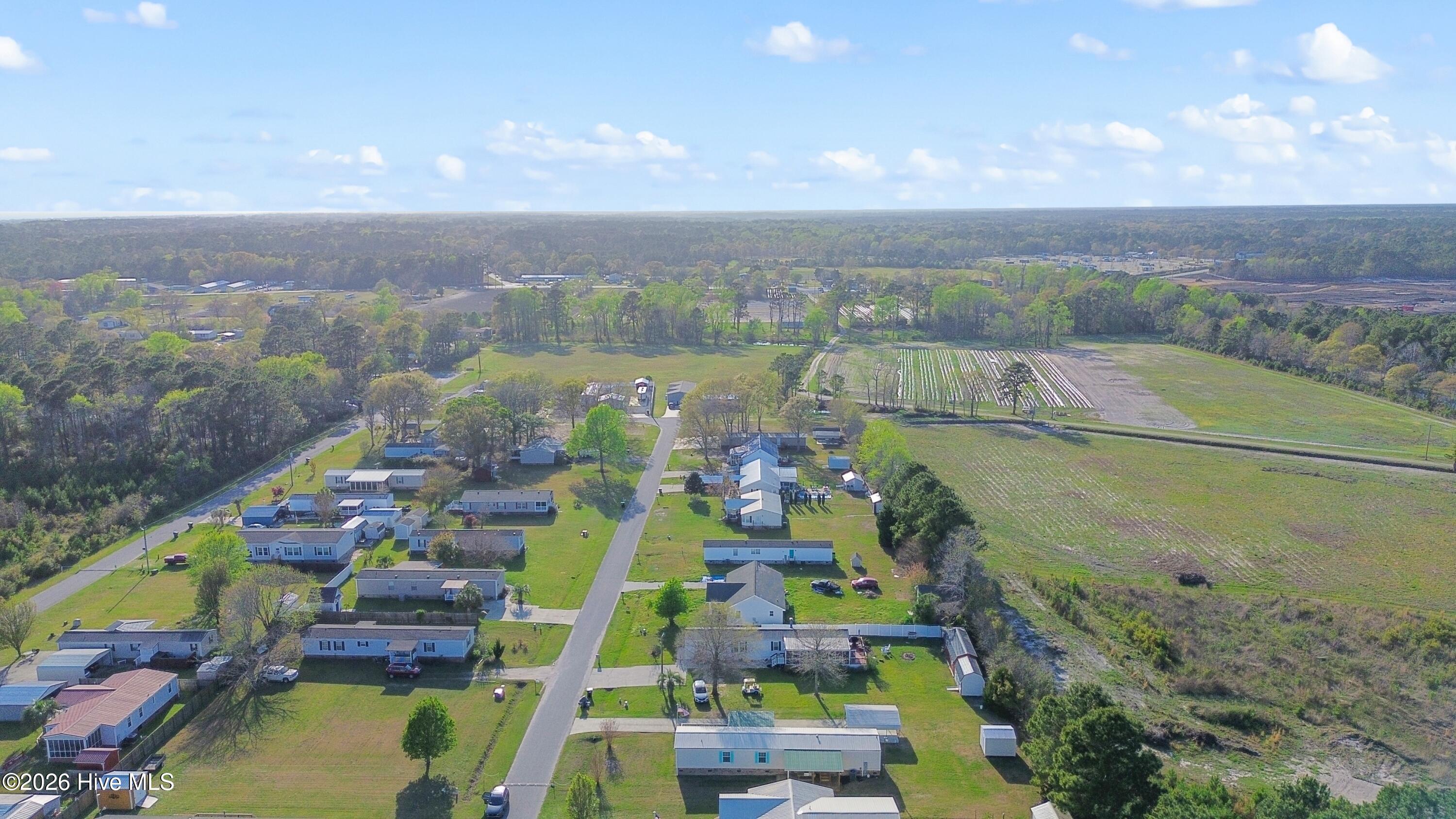 100564695 | Photo 29