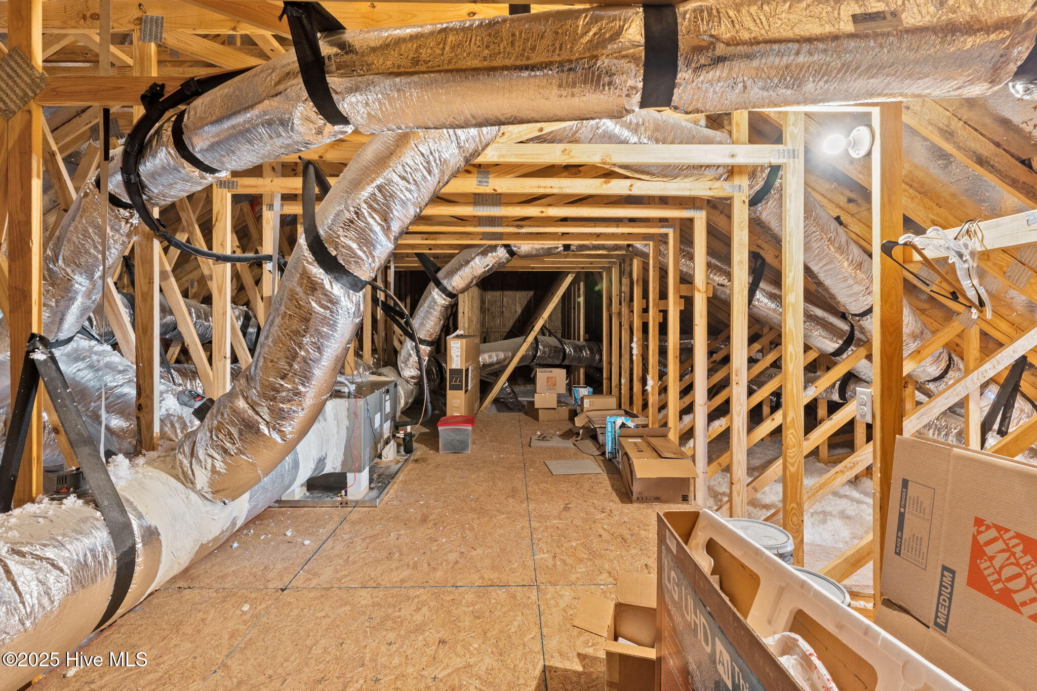 100534484 | Photo 60