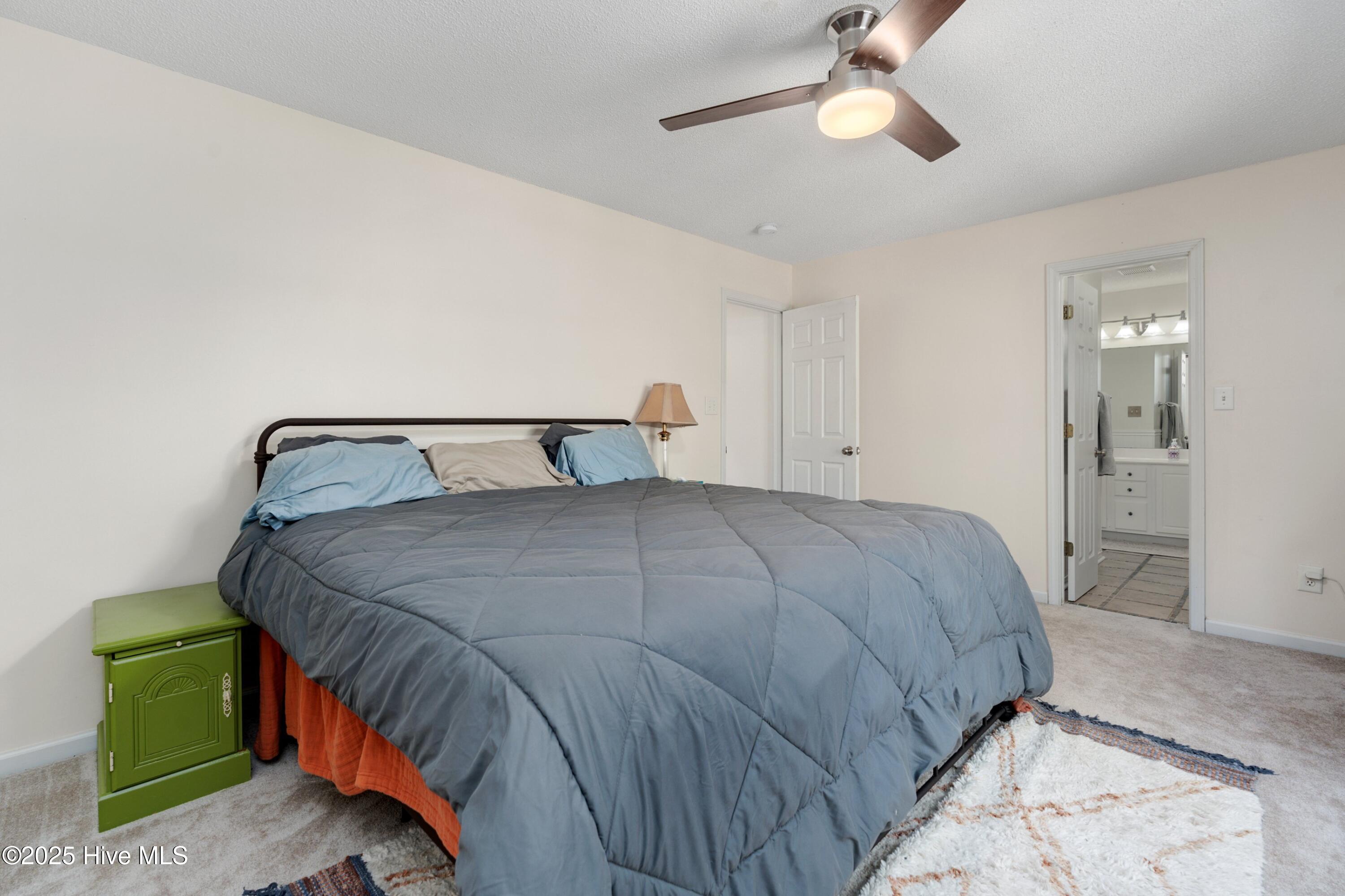 100565121 | Photo 23