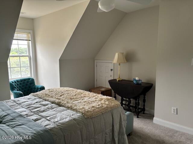 100560491 | Photo 35